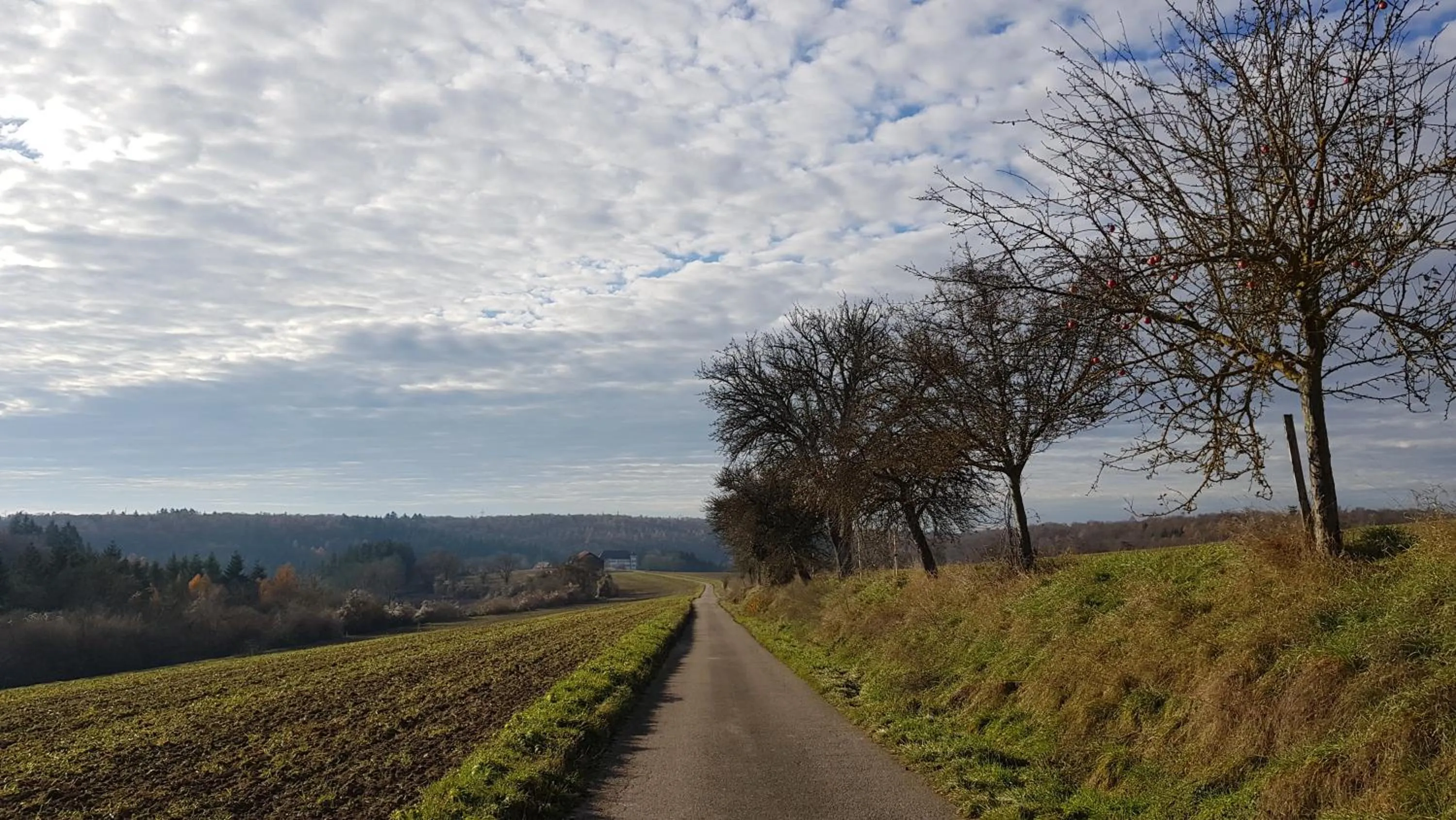 Hiking in Hotel KAMPS