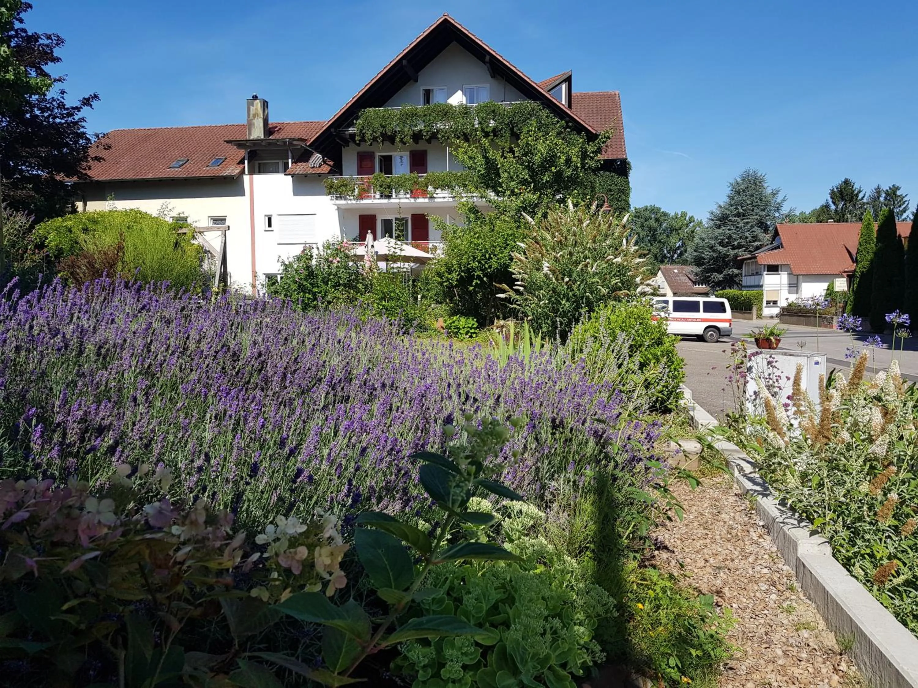 Summer in Hotel KAMPS