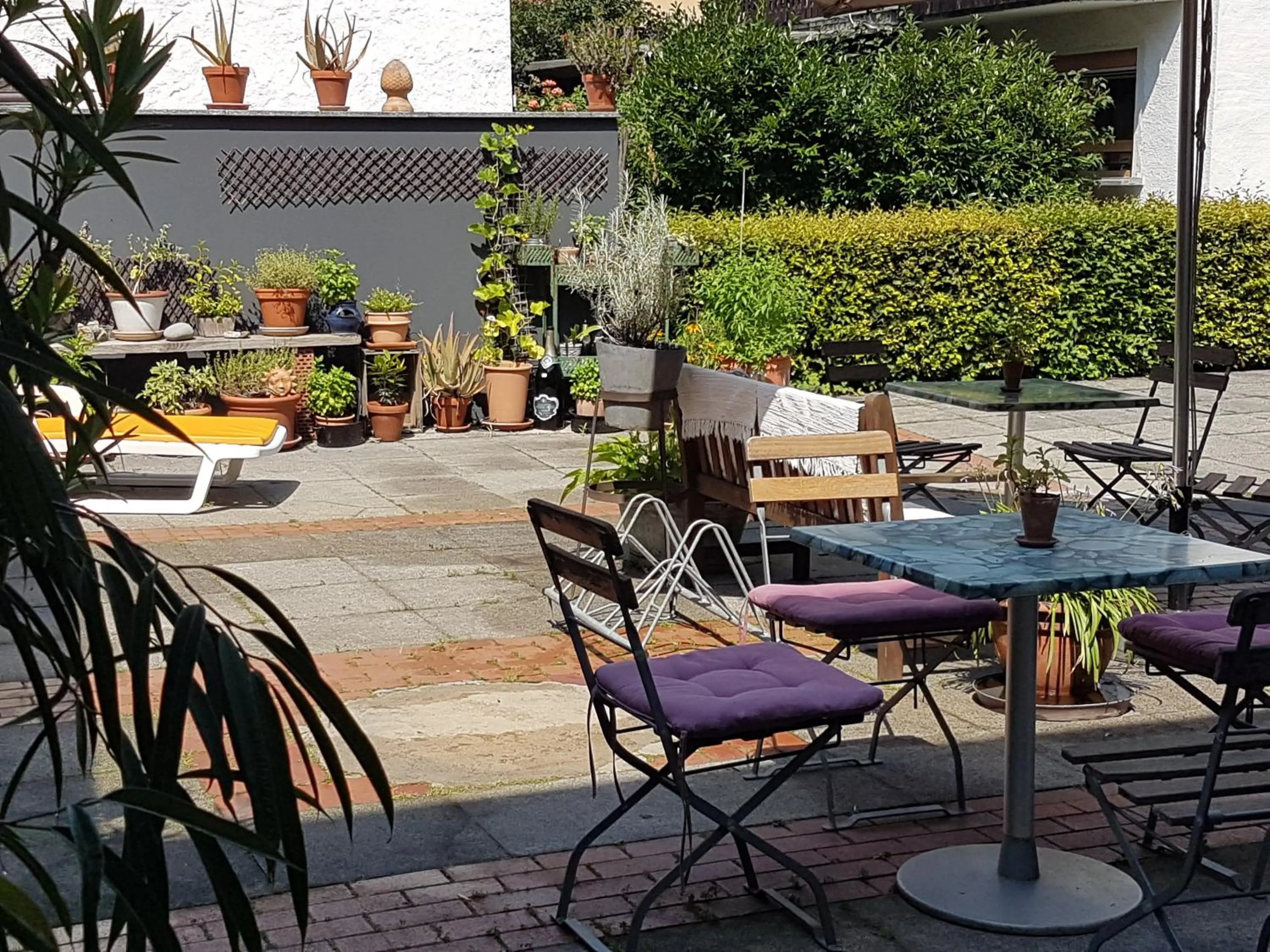 Patio in Hotel KAMPS