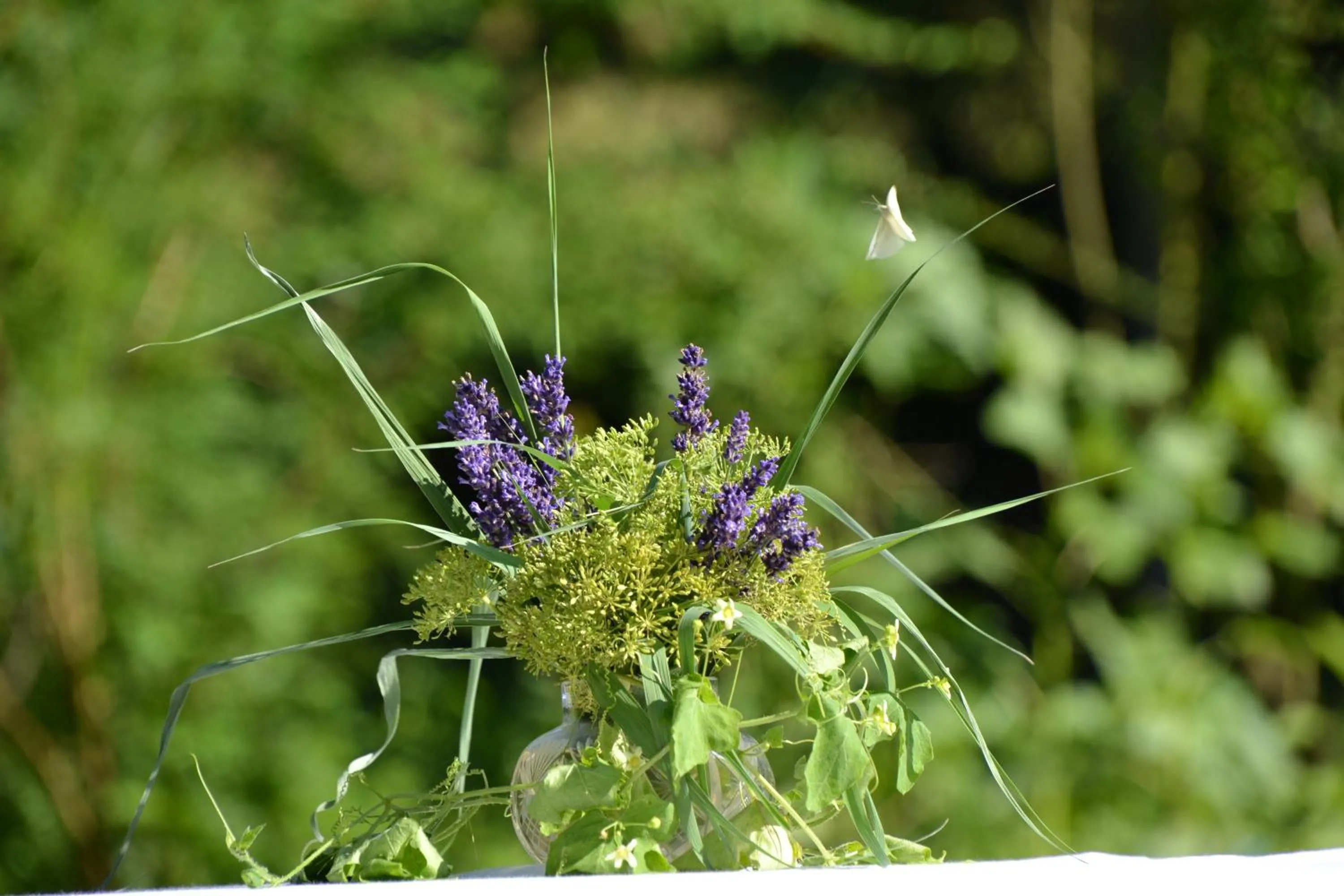Garden in Hotel KAMPS