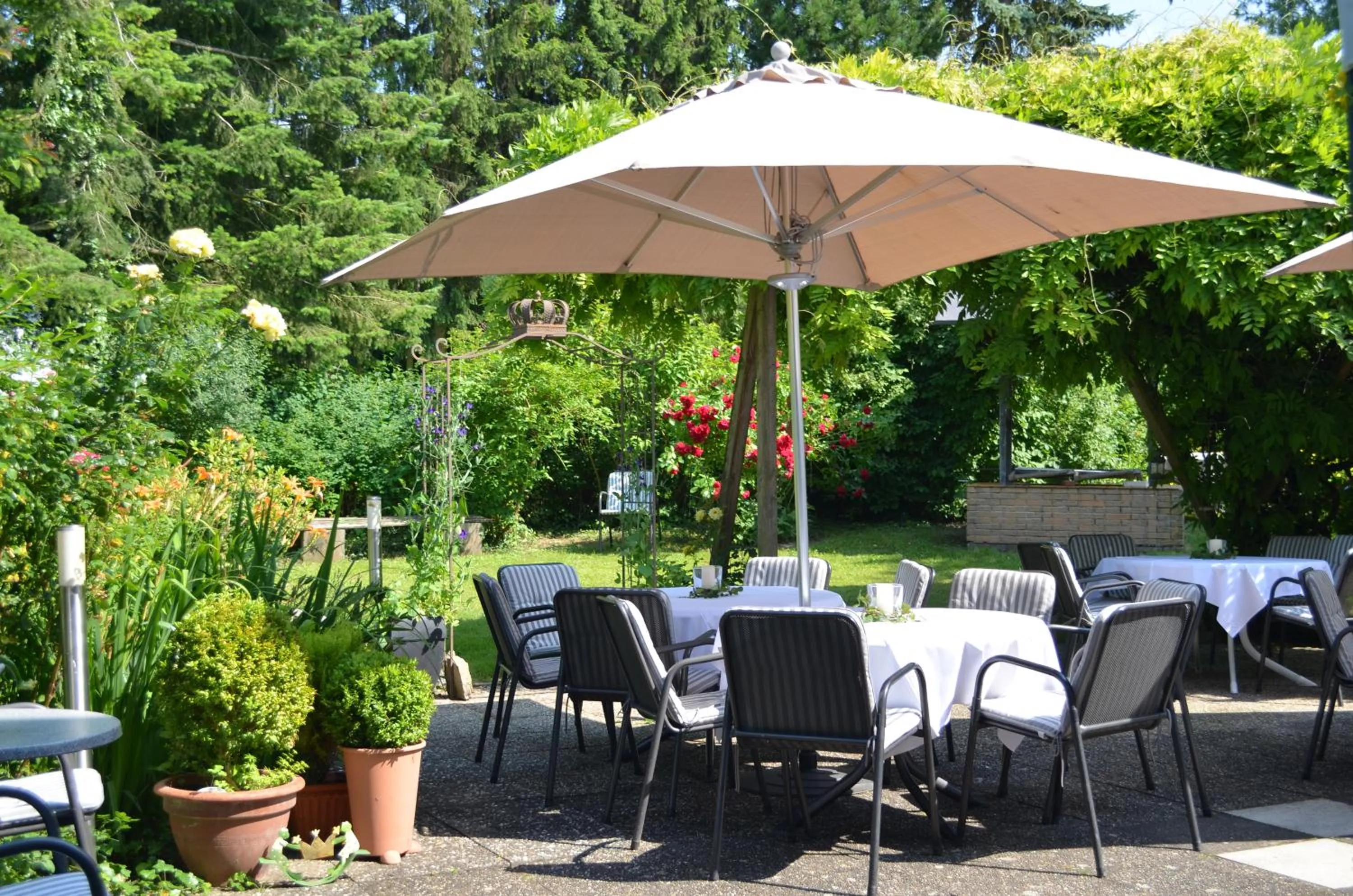 Restaurant/places to eat in Hotel KAMPS