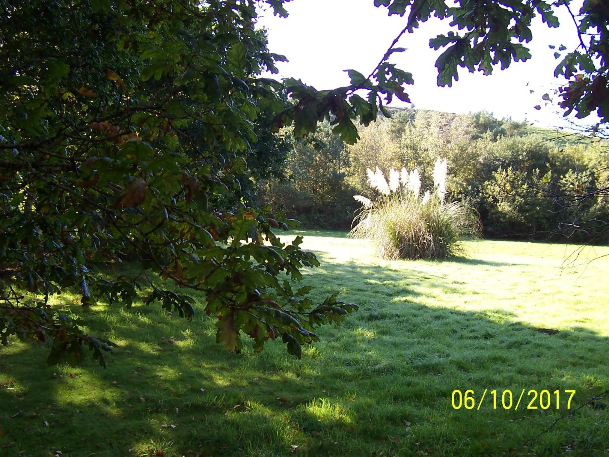 Garden in Jonti Bed And Breakfast