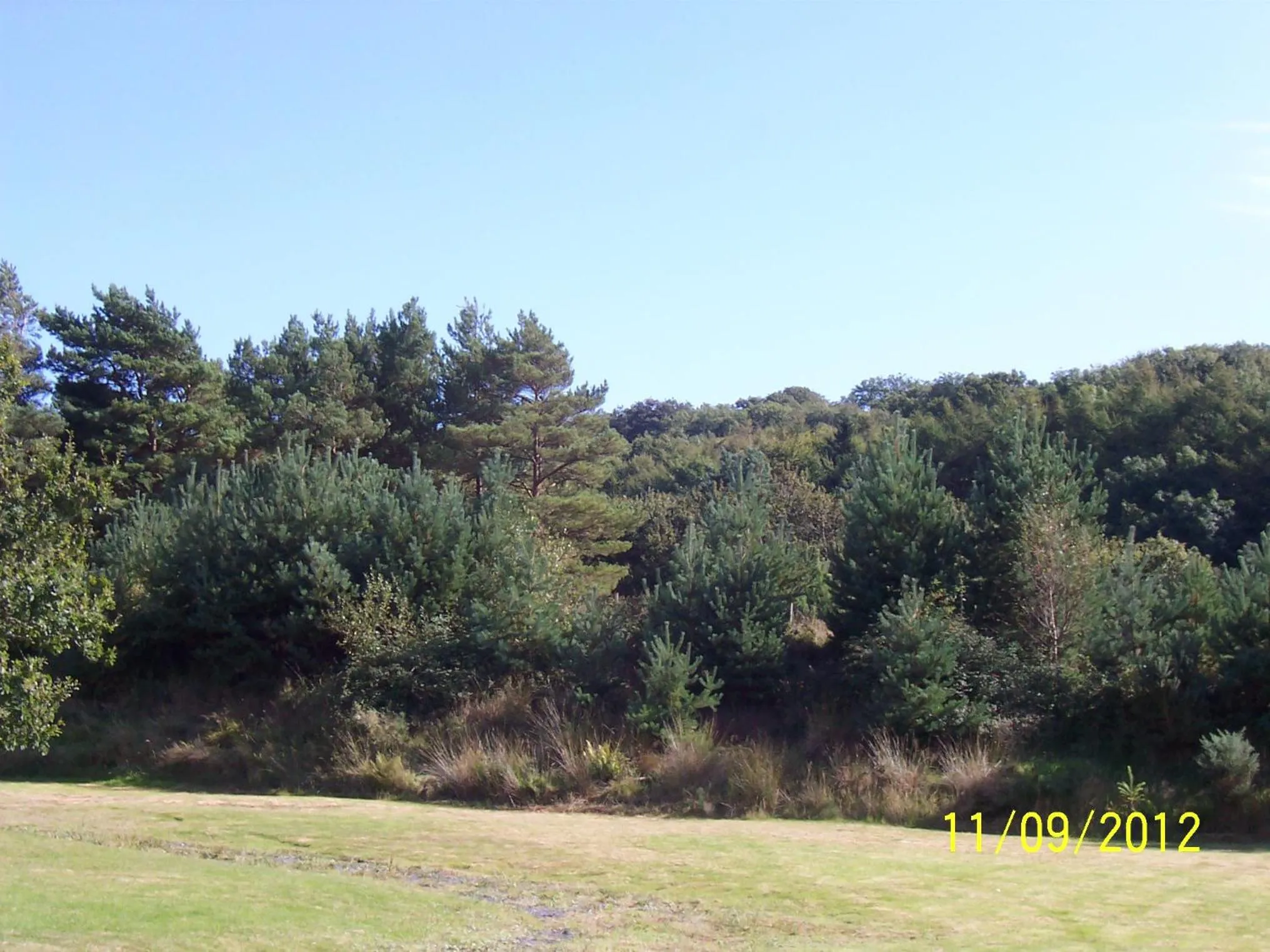 Garden view in Jonti Bed And Breakfast