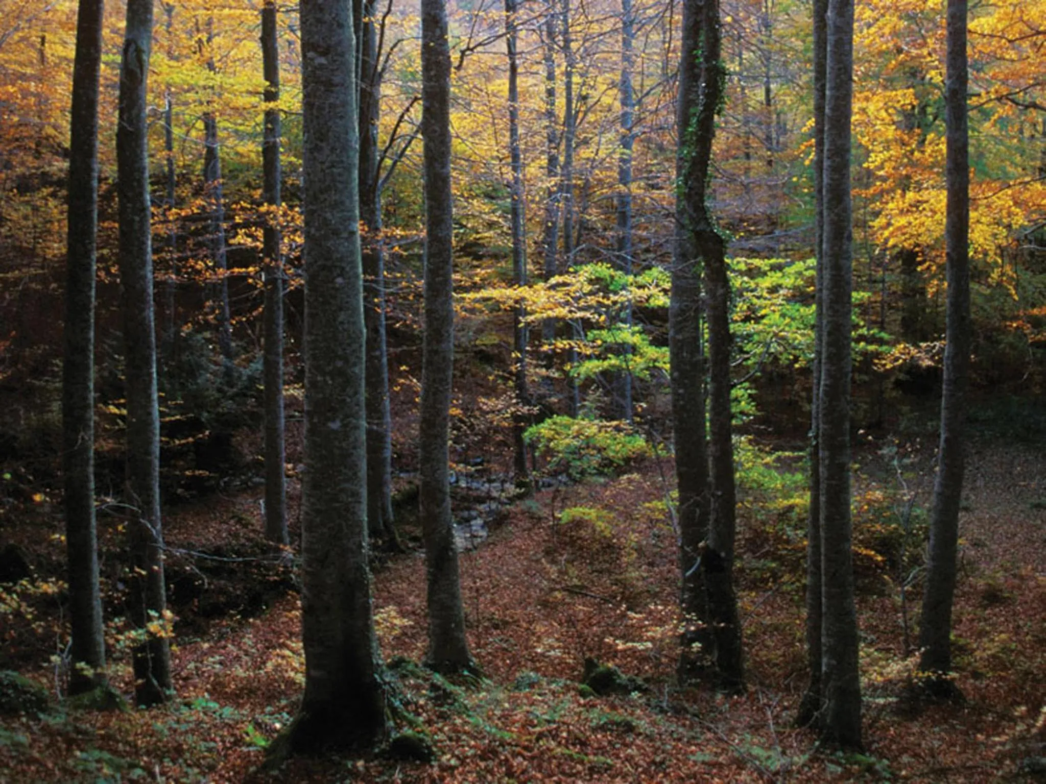 Natural landscape in Fonte Del Benessere Resort