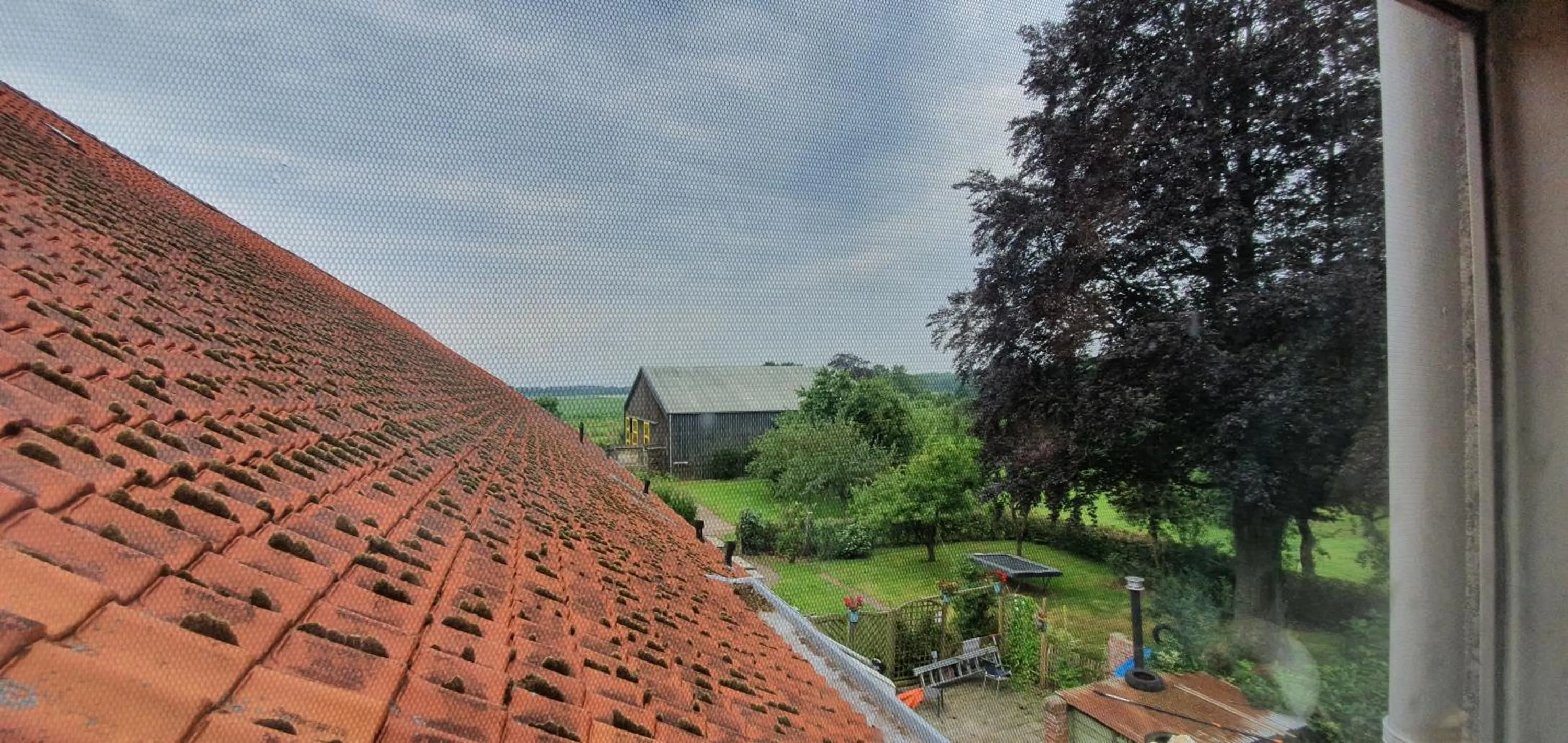 View (from property/room), Property Building in B&B Blauwestadhoeve