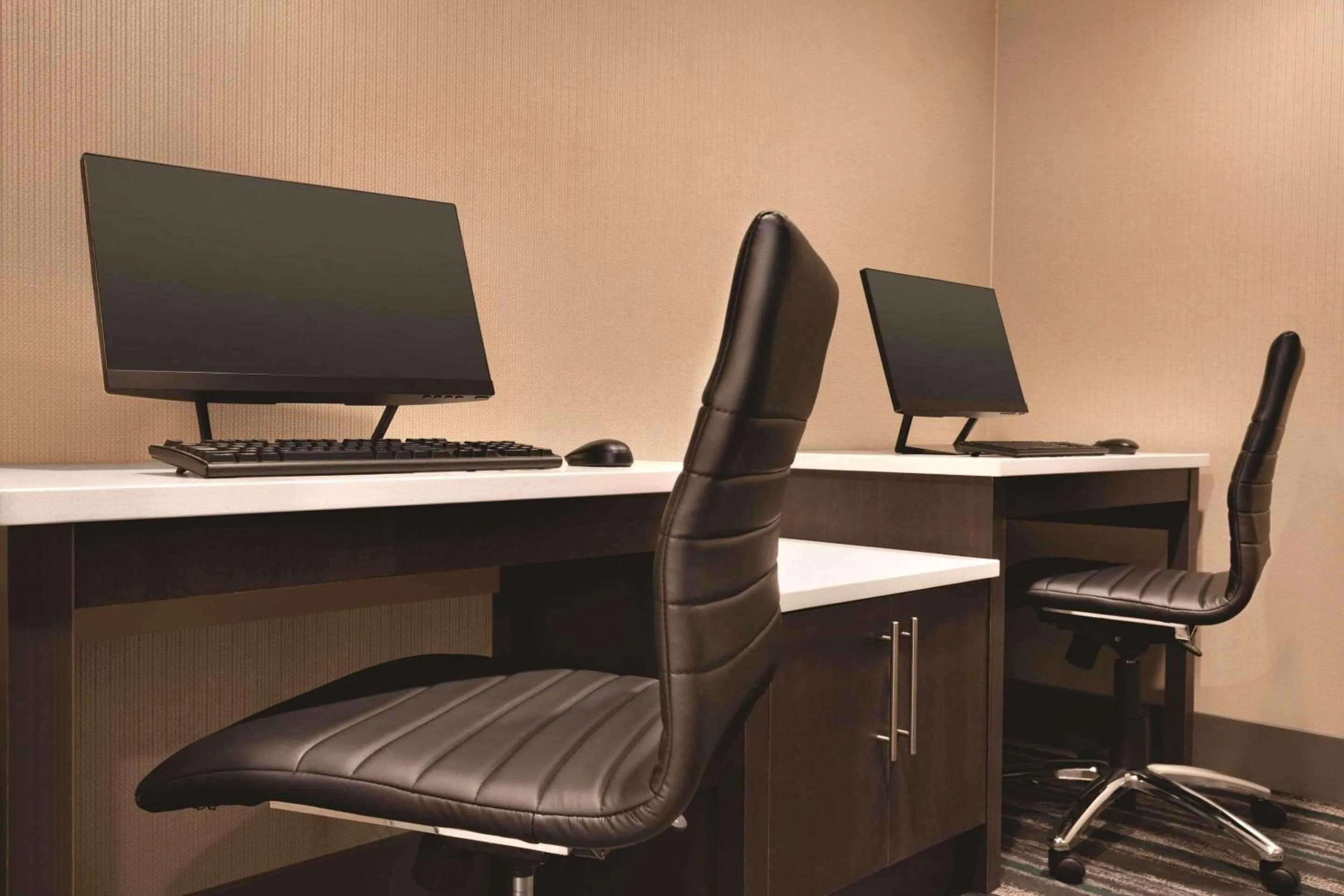 Business facilities in Radisson Hotel Charlotte Airport