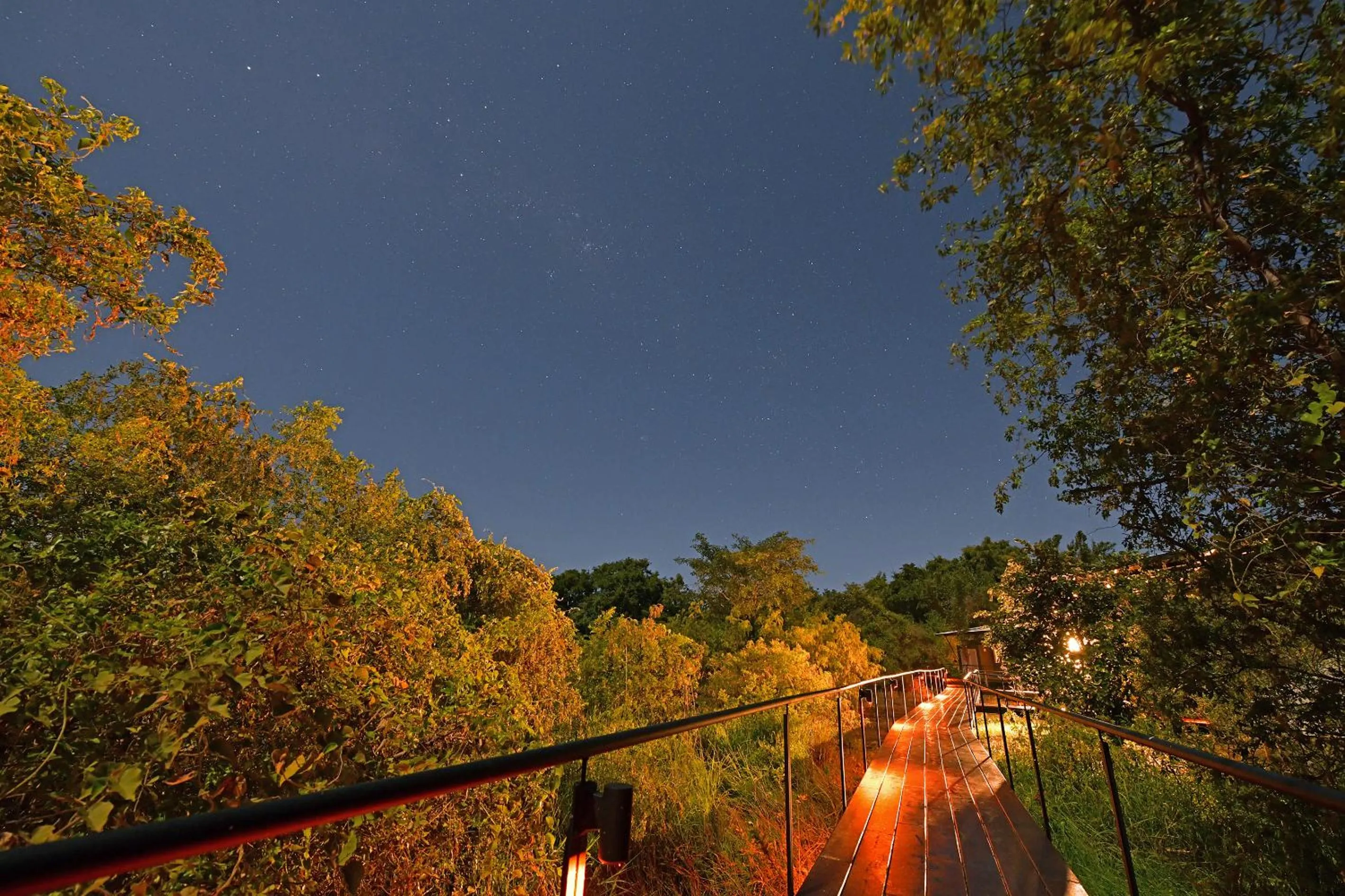 Natural landscape in Zambezi Mubala Lodge