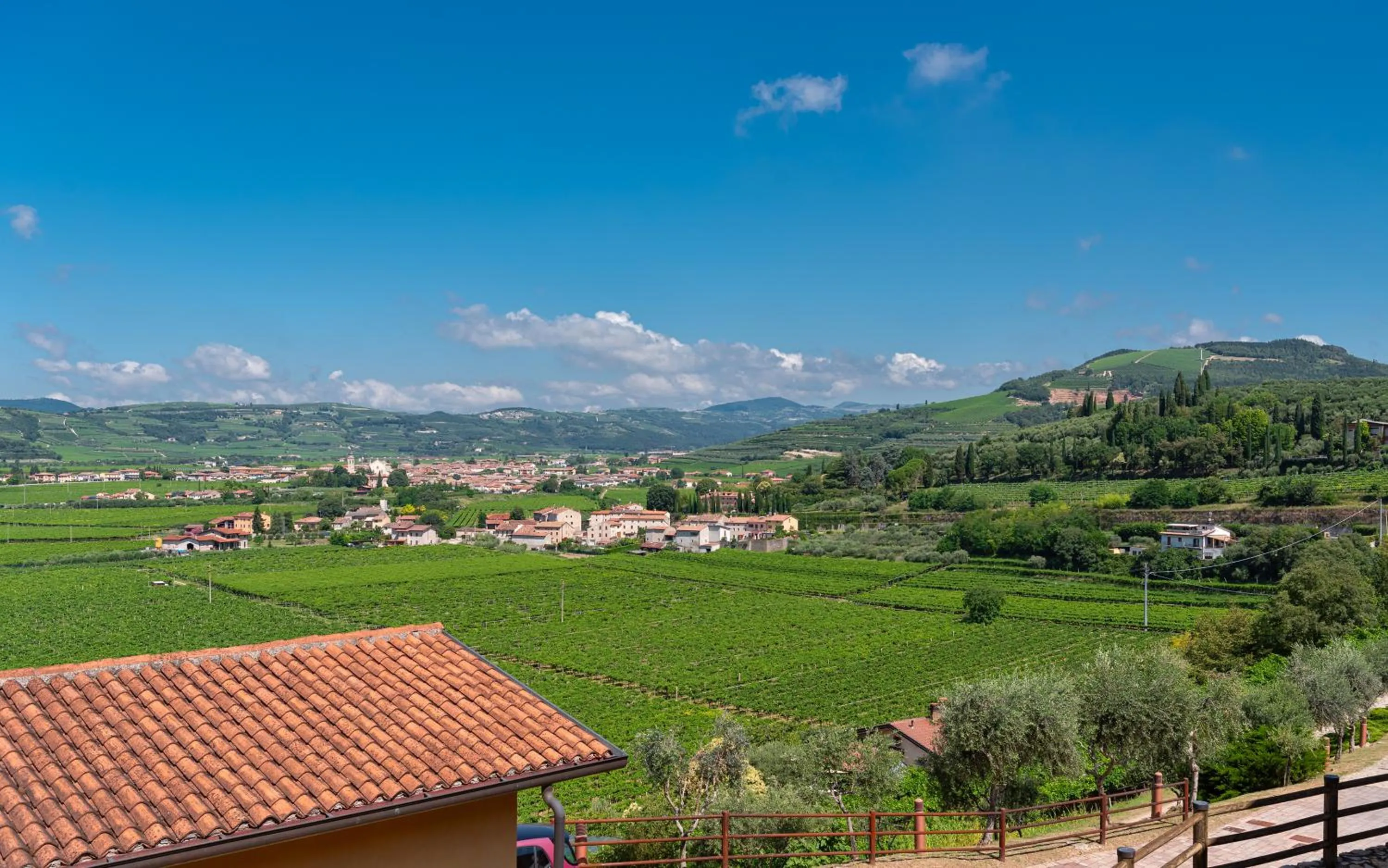 Neighbourhood in Sporting Hotel San Felice