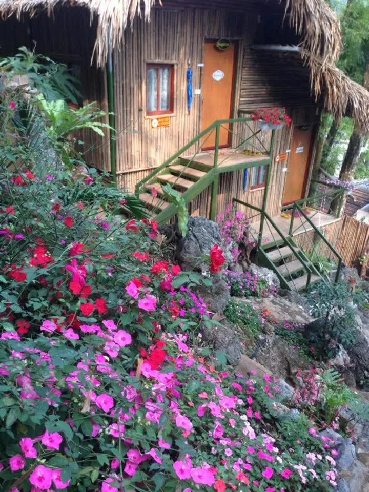 Green Hill Hostel & Tour