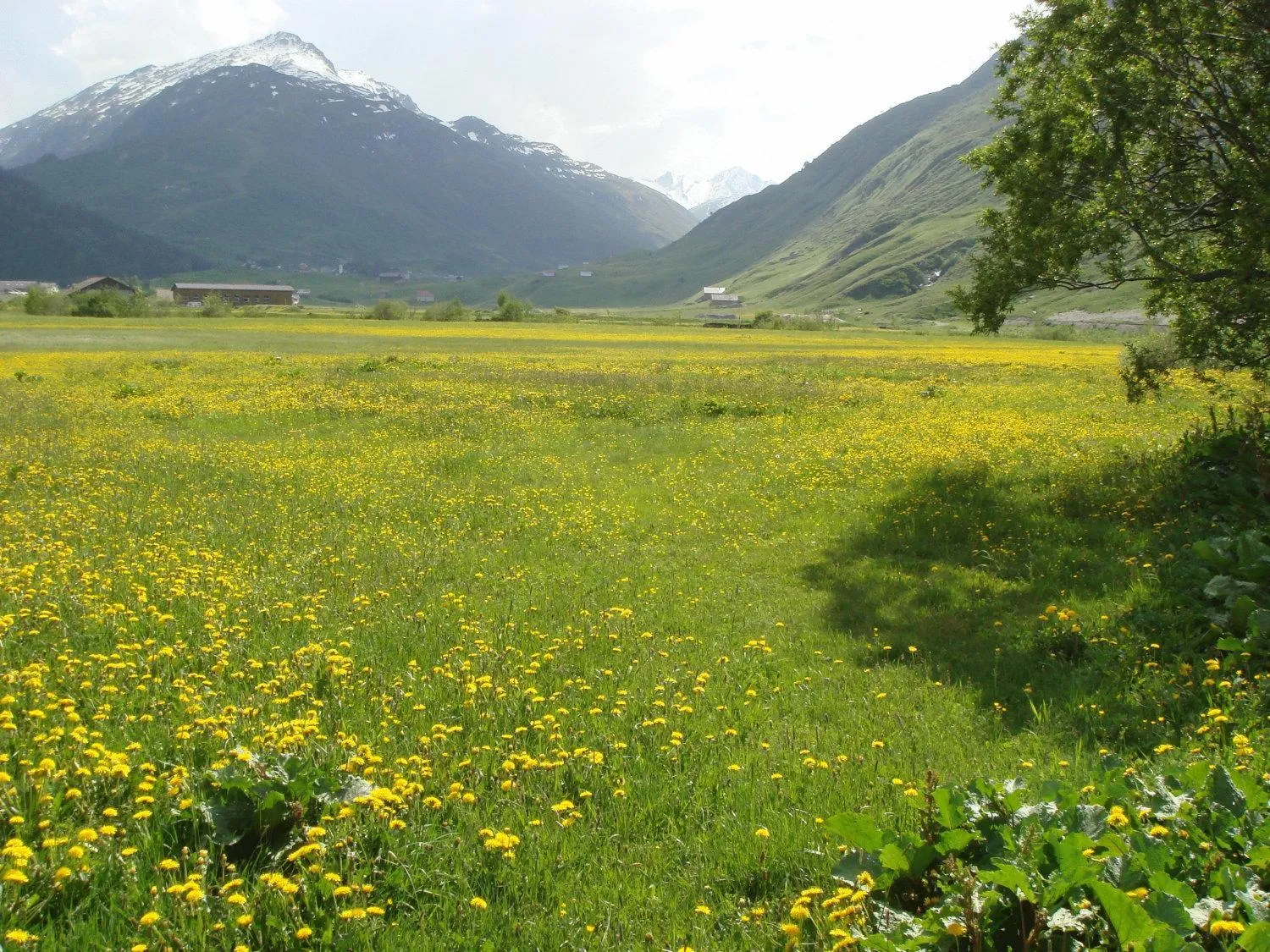 Area and facilities in Gasthaus Skiklub