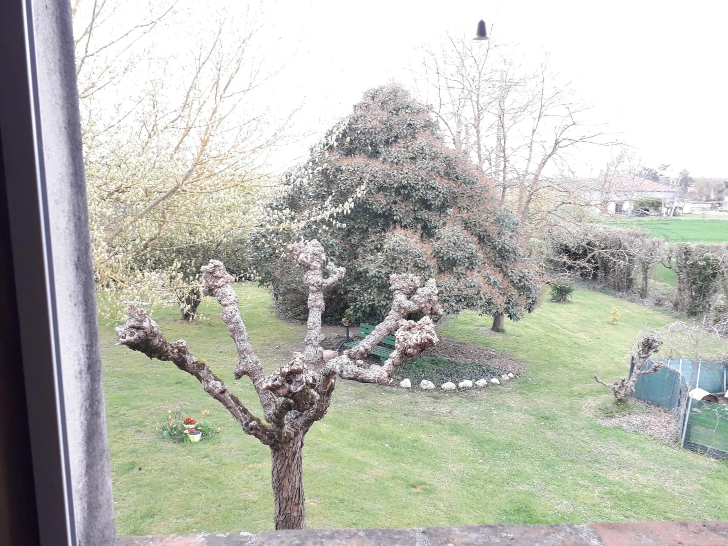 Garden view in Villa Gazounette
