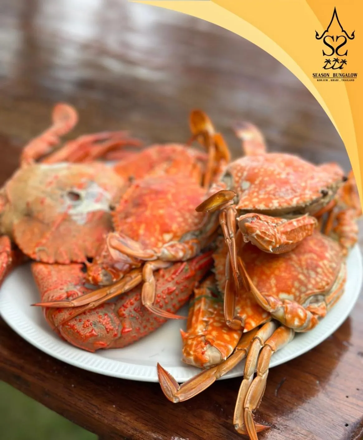 Food and drinks in Season Bungalow