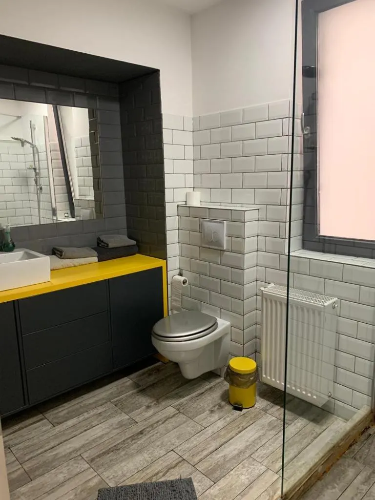 Toilet in Teodoroiu nr. 5