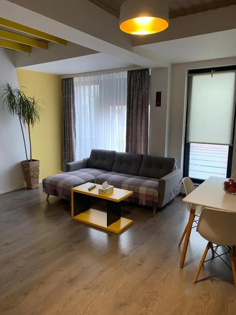 Living room in Teodoroiu nr. 5