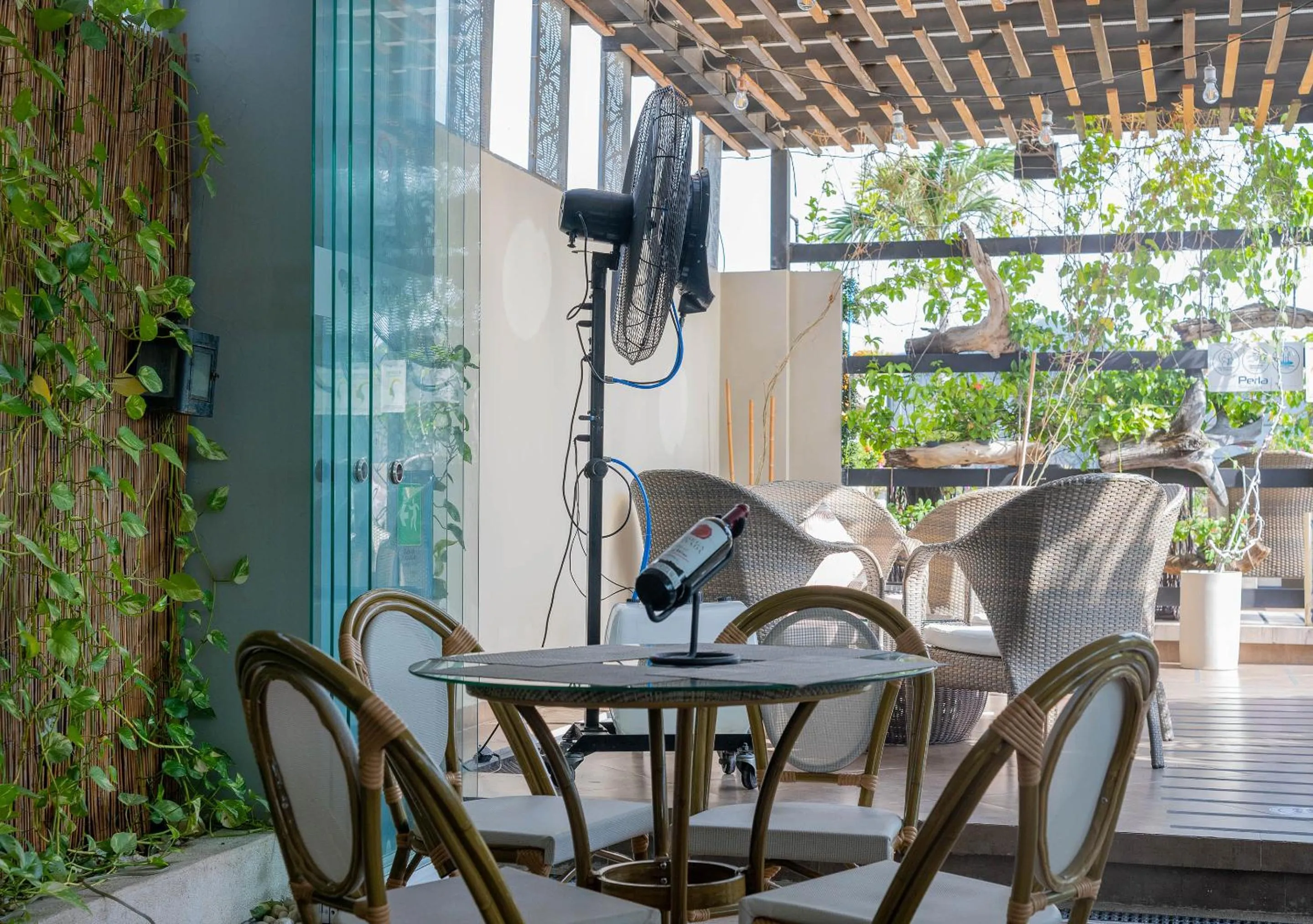 Restaurant/places to eat in Hotel Perla Suite Santa Marta