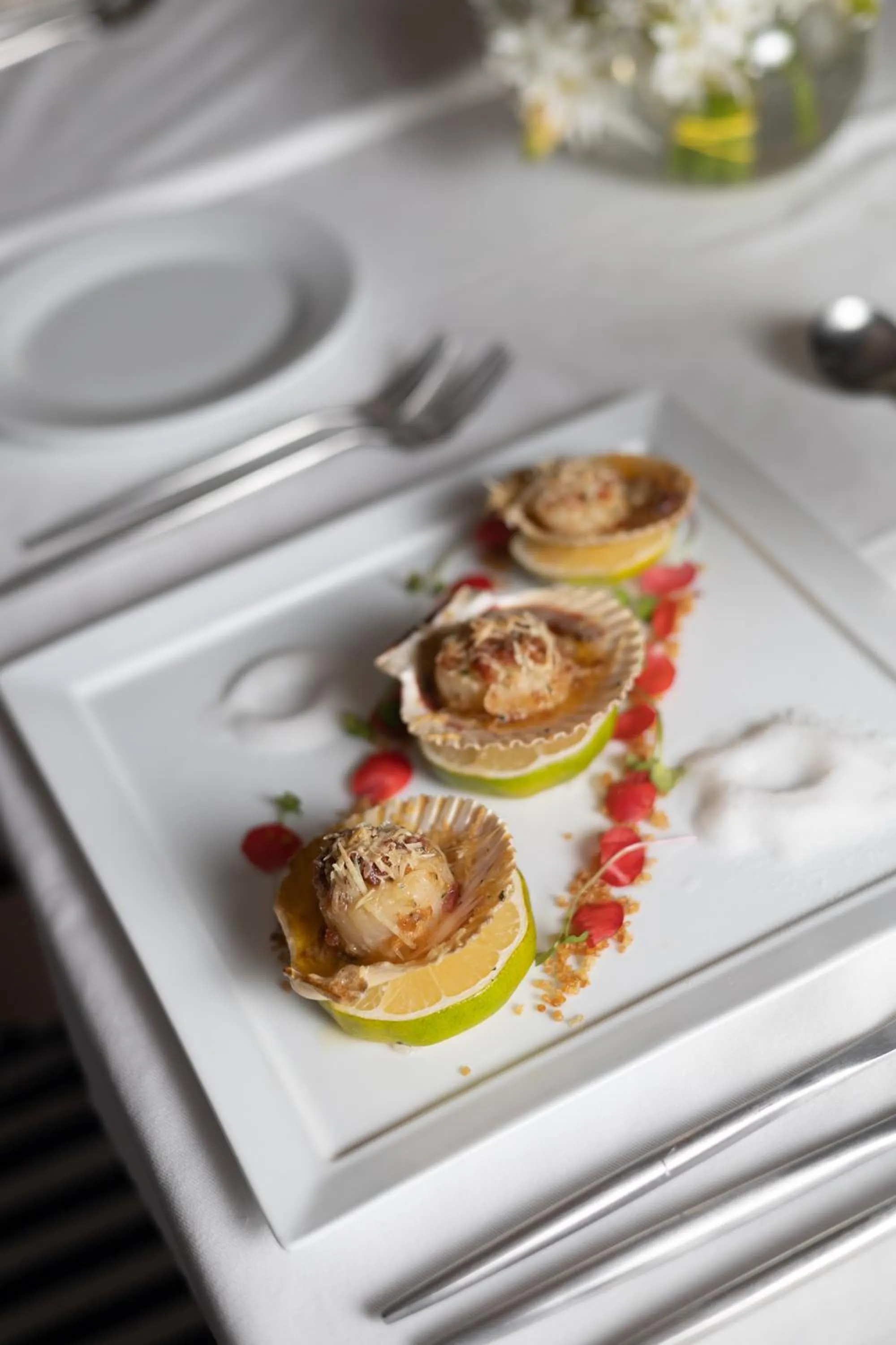 Restaurant/places to eat in Hotel Boutique Santa Lucia