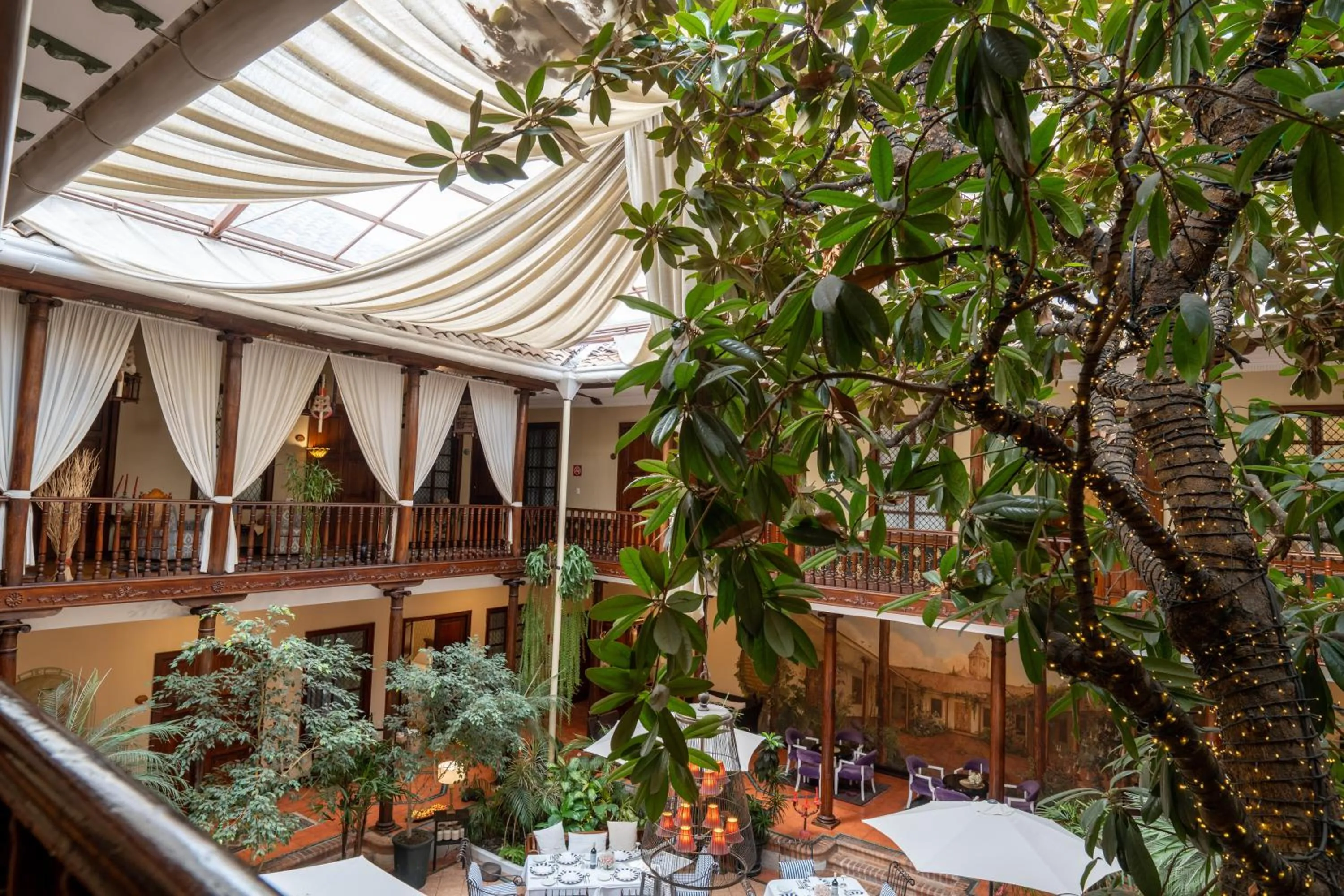 Garden in Hotel Boutique Santa Lucia