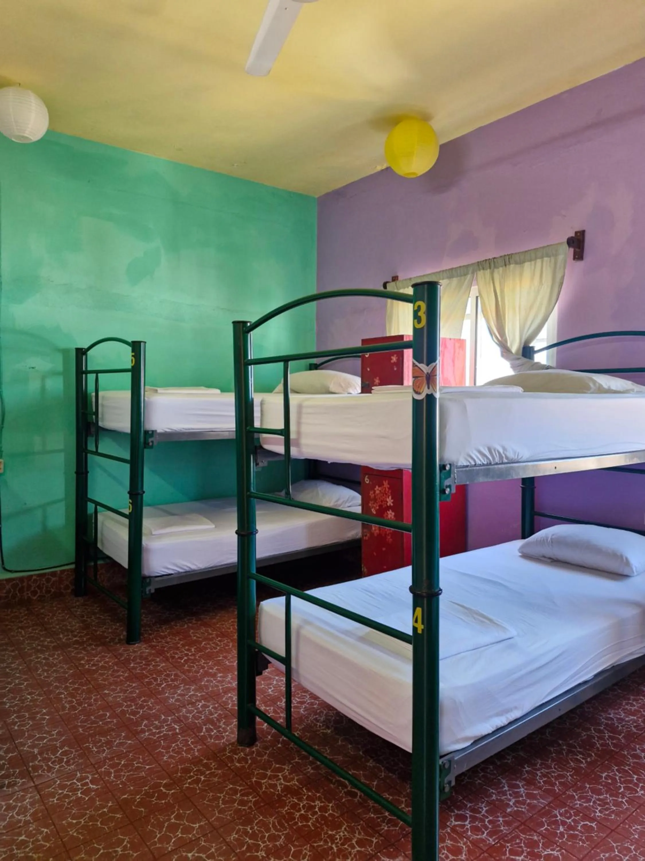 Bed in Casa Kraken Hostel