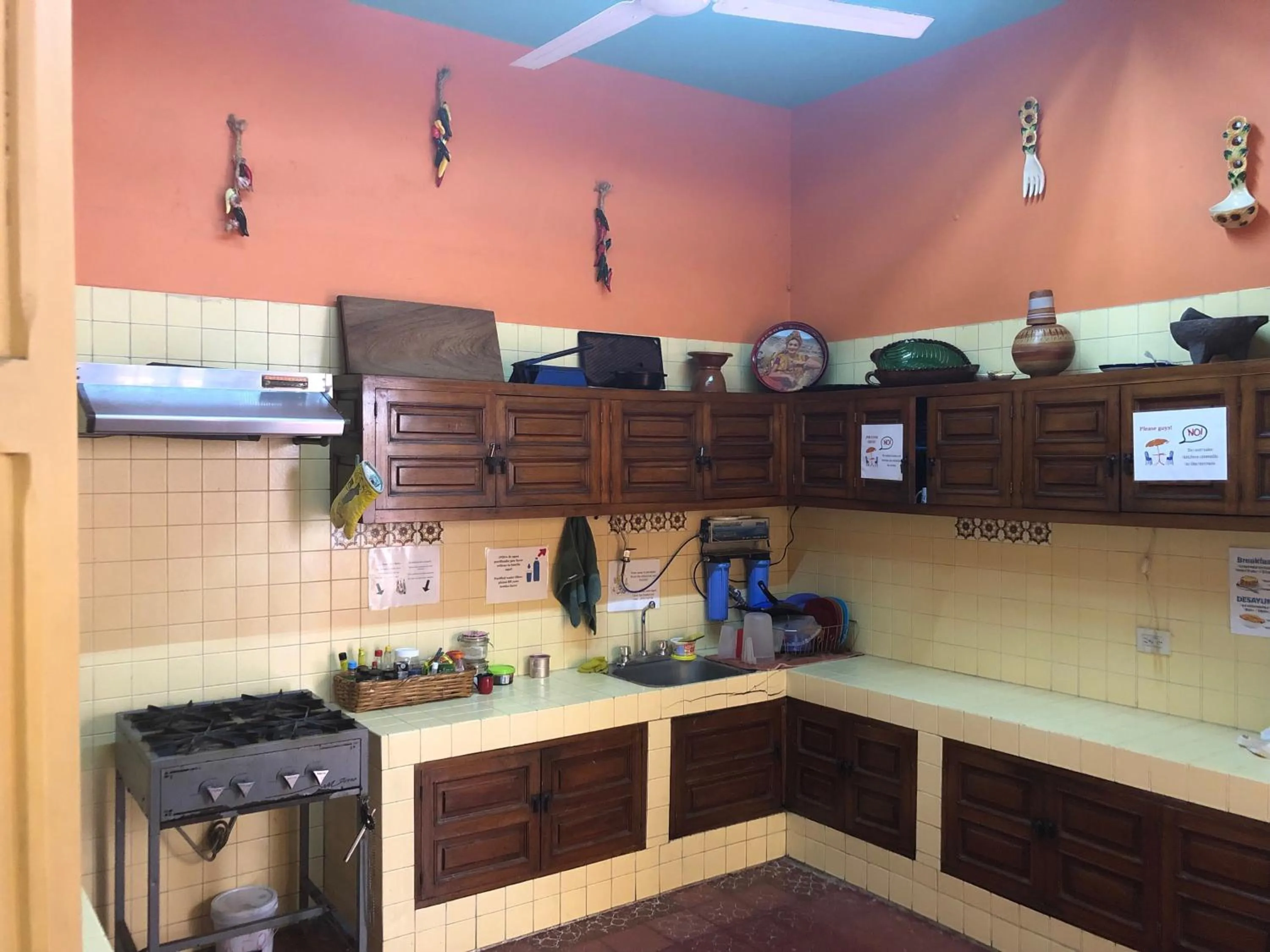 Kitchen or kitchenette in Casa Kraken Hostel