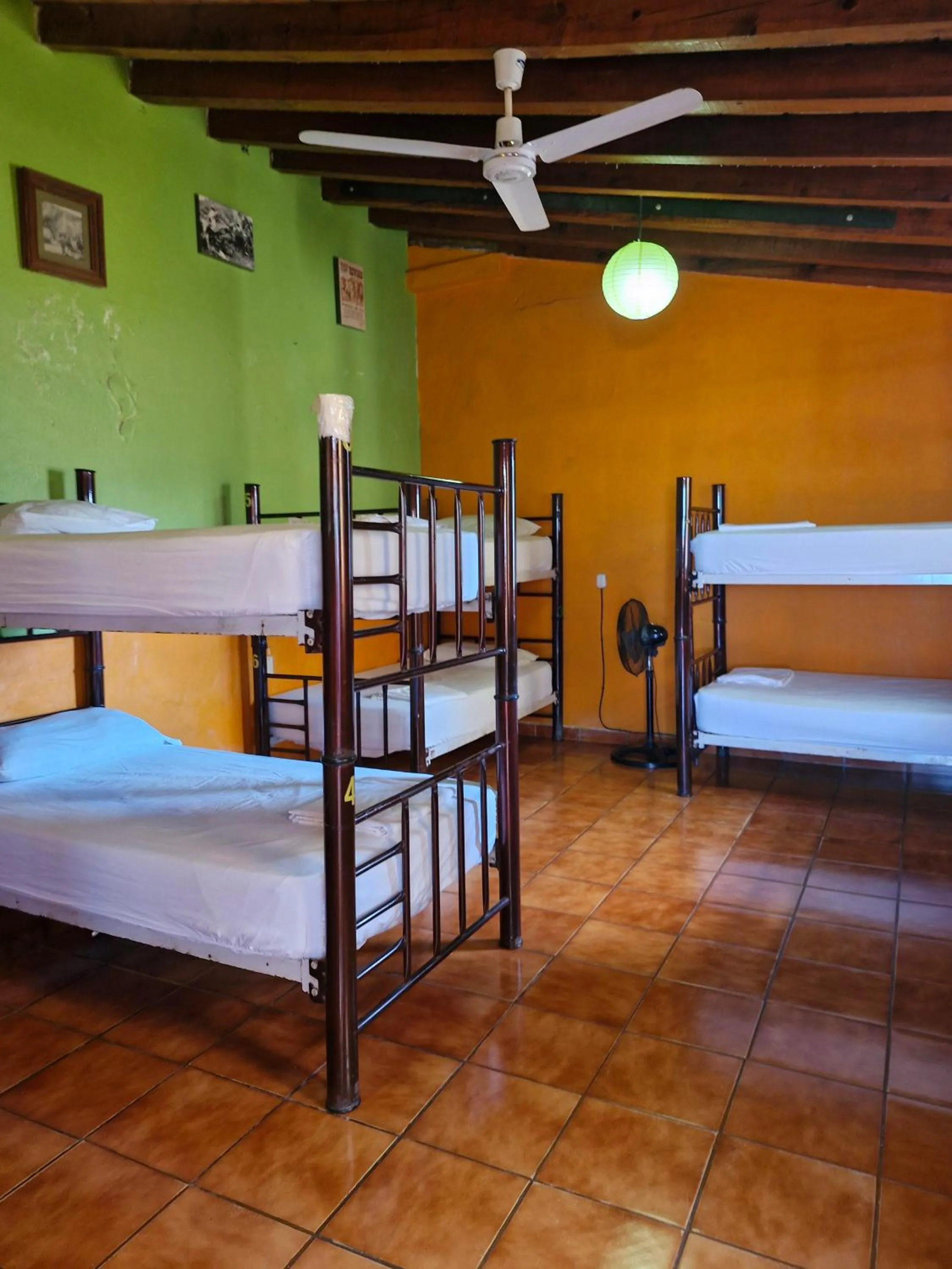 Bed in Casa Kraken Hostel