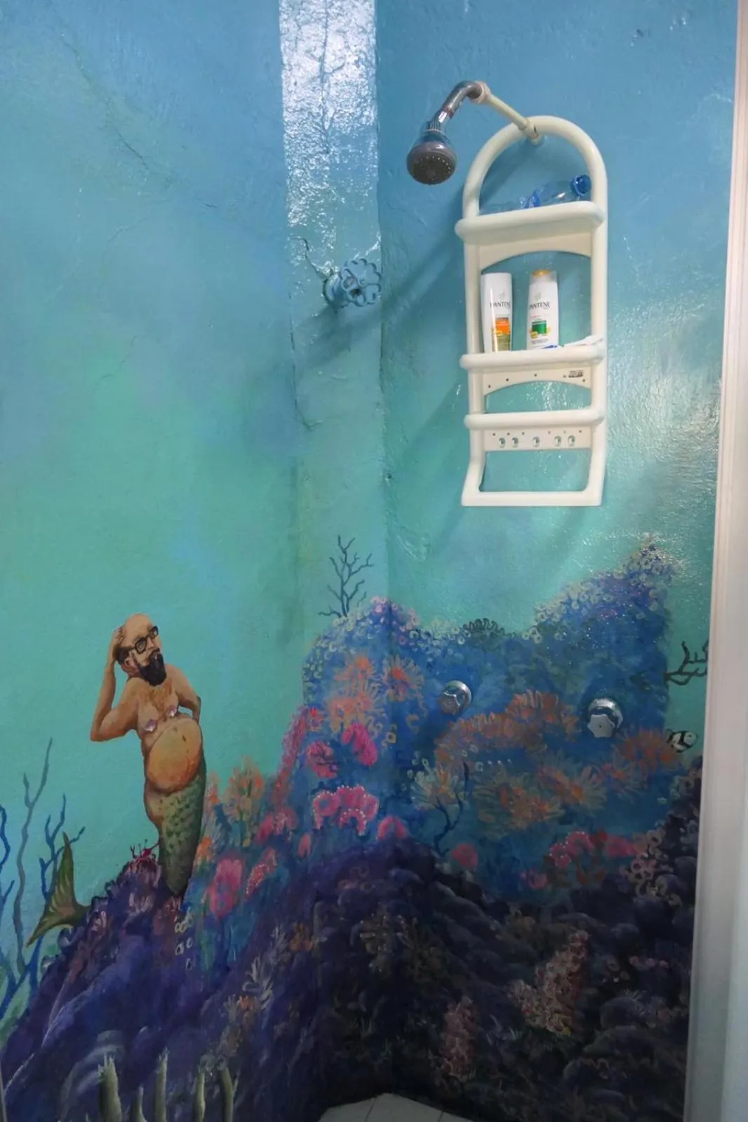 Property building in Casa Kraken Hostel