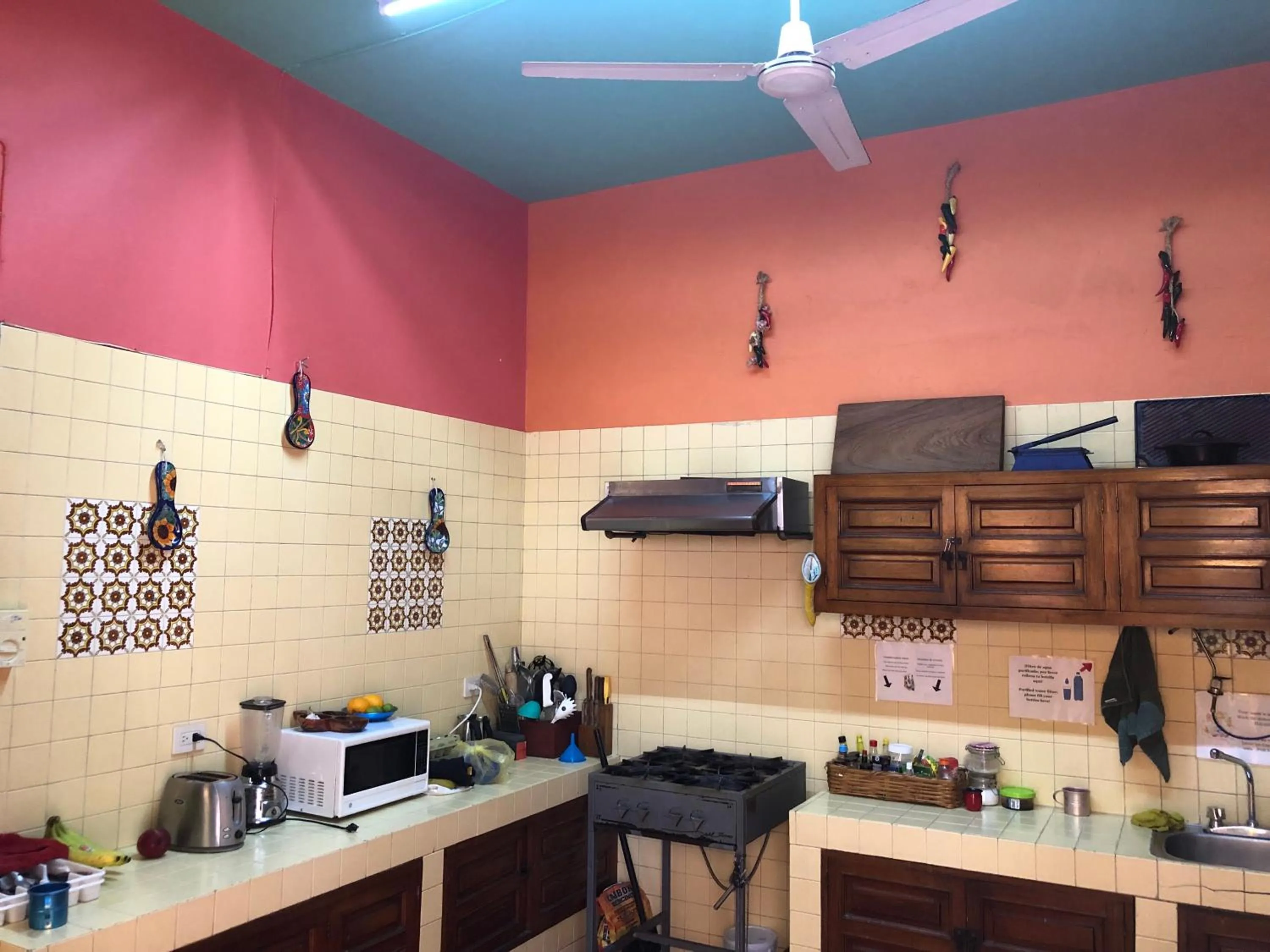 Kitchen or kitchenette in Casa Kraken Hostel