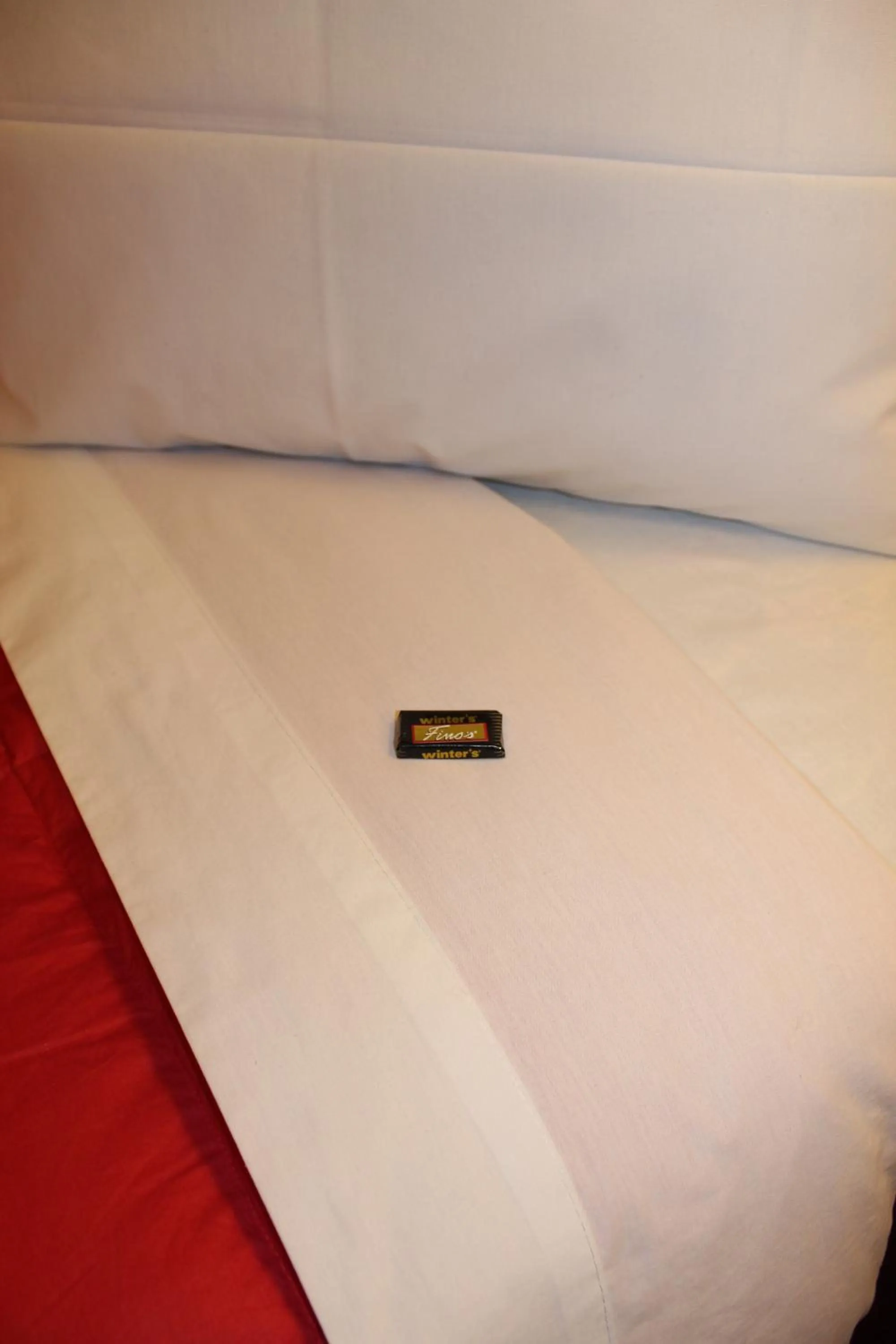 bunk bed, Bed in Hotel Casona Colon Inn