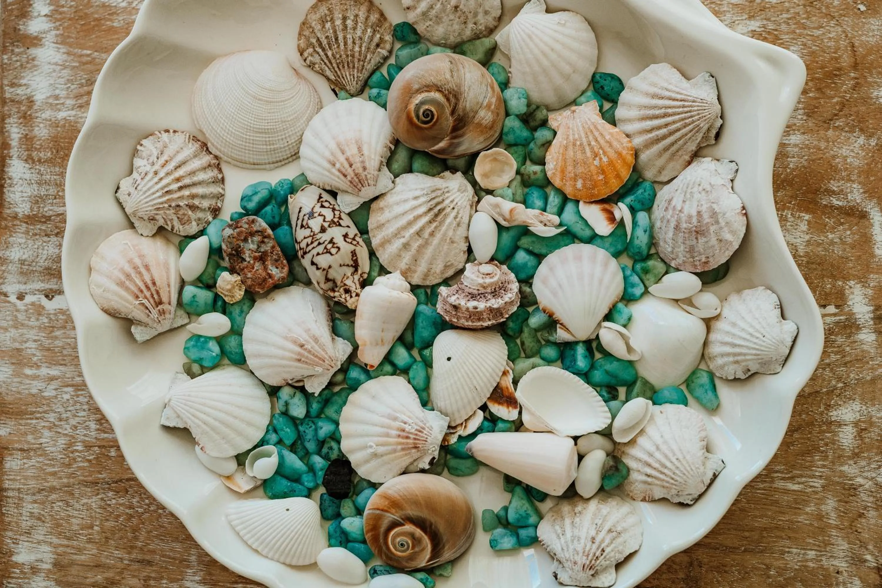 Patio in Hotel Pulicinu