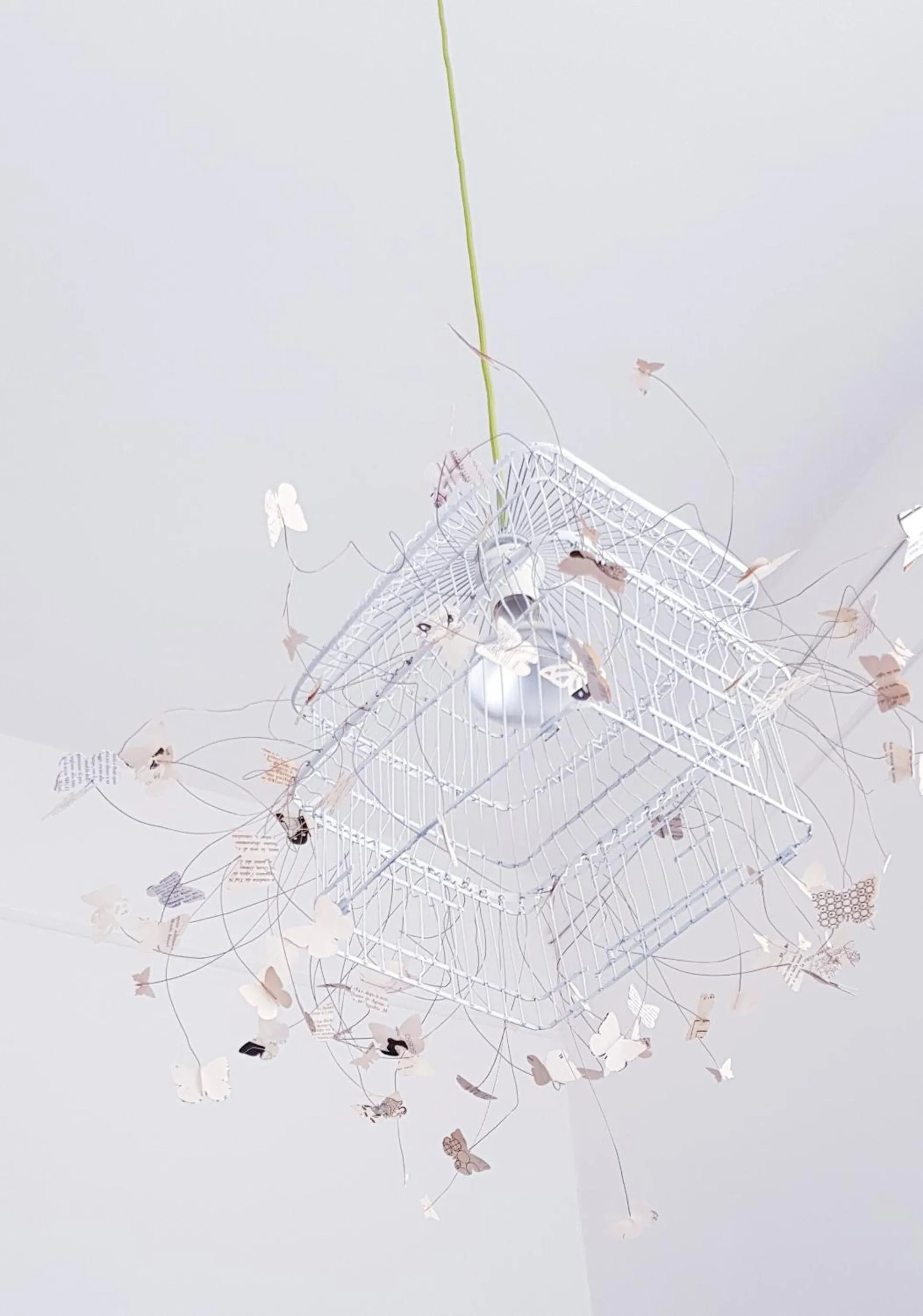 Lounge or bar in CaraFe'&CaraSpe'