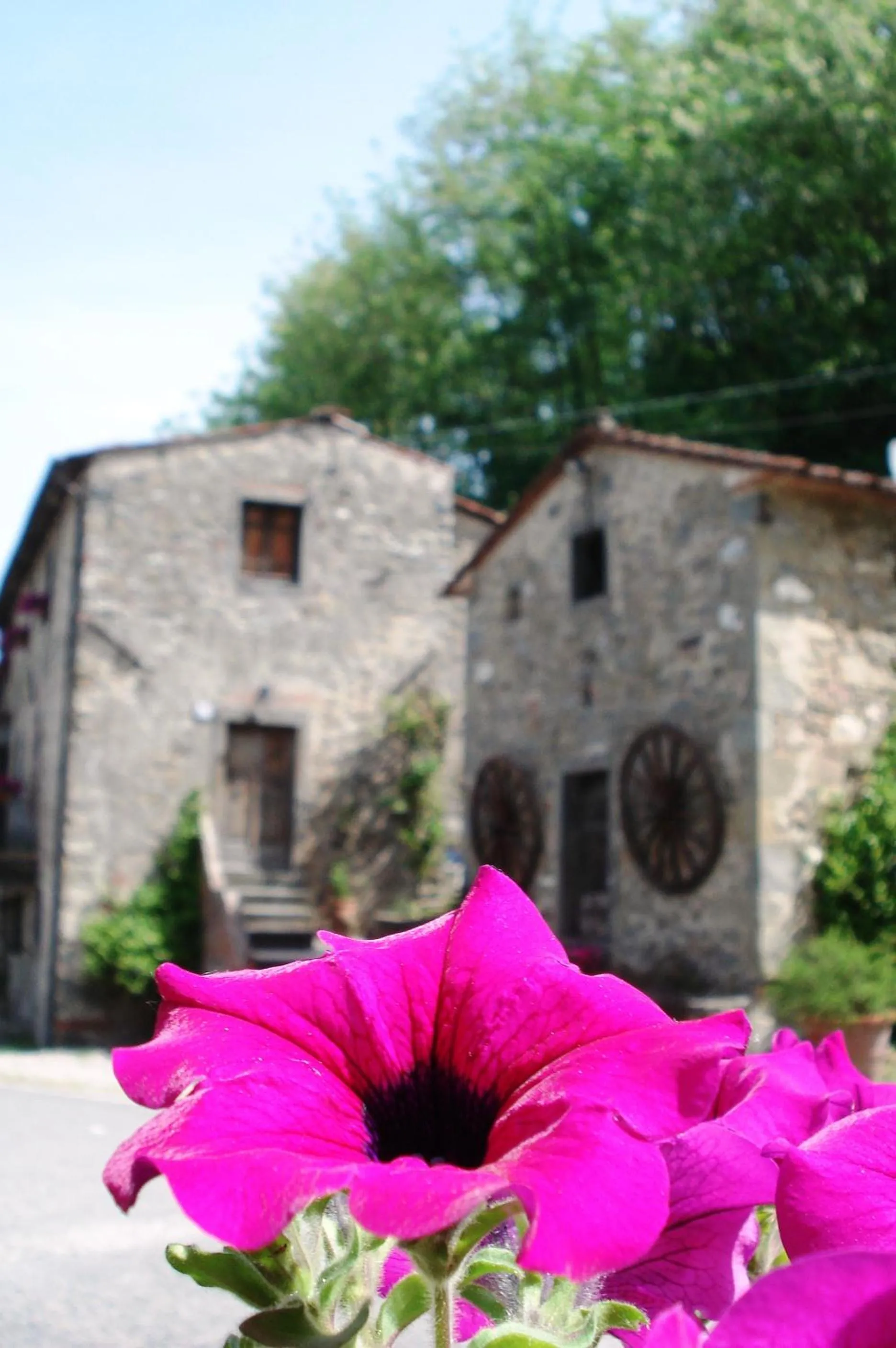 Property building in EcoHotel Ristorante Milano