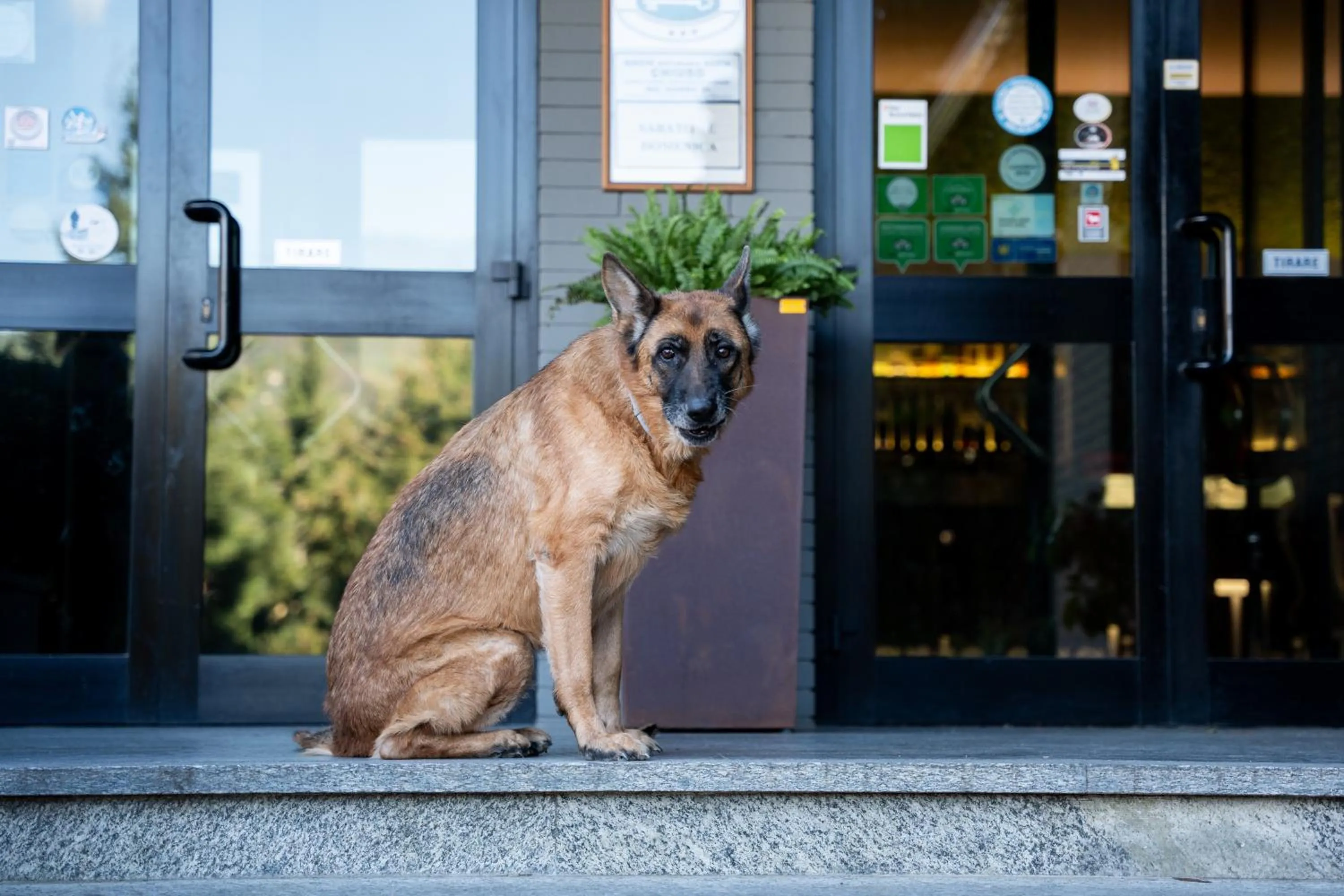 Facade/entrance in EcoHotel Ristorante Milano
