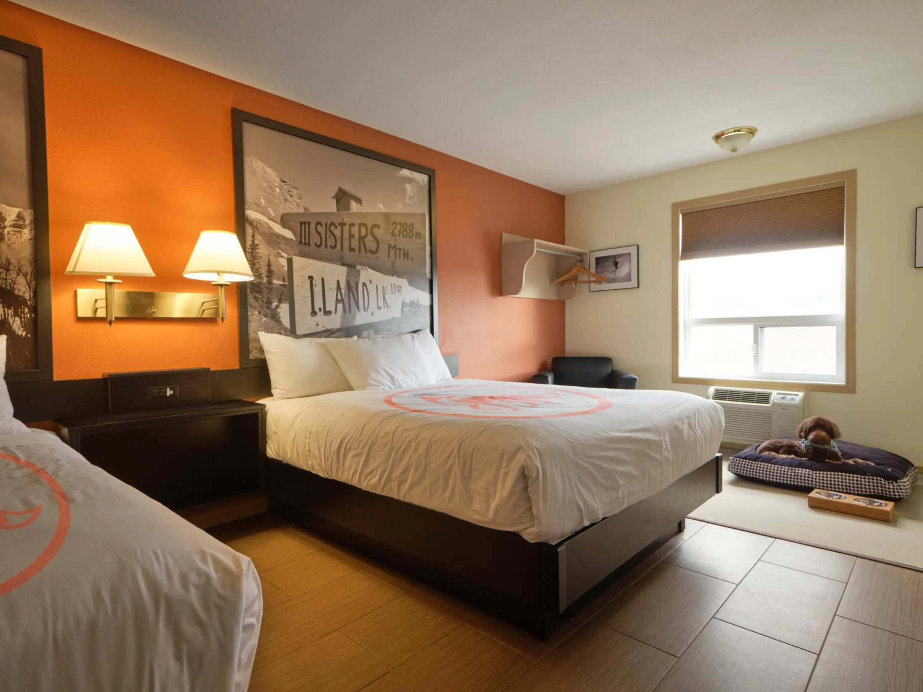 Pets, Bed in Fernie Fox Hotel