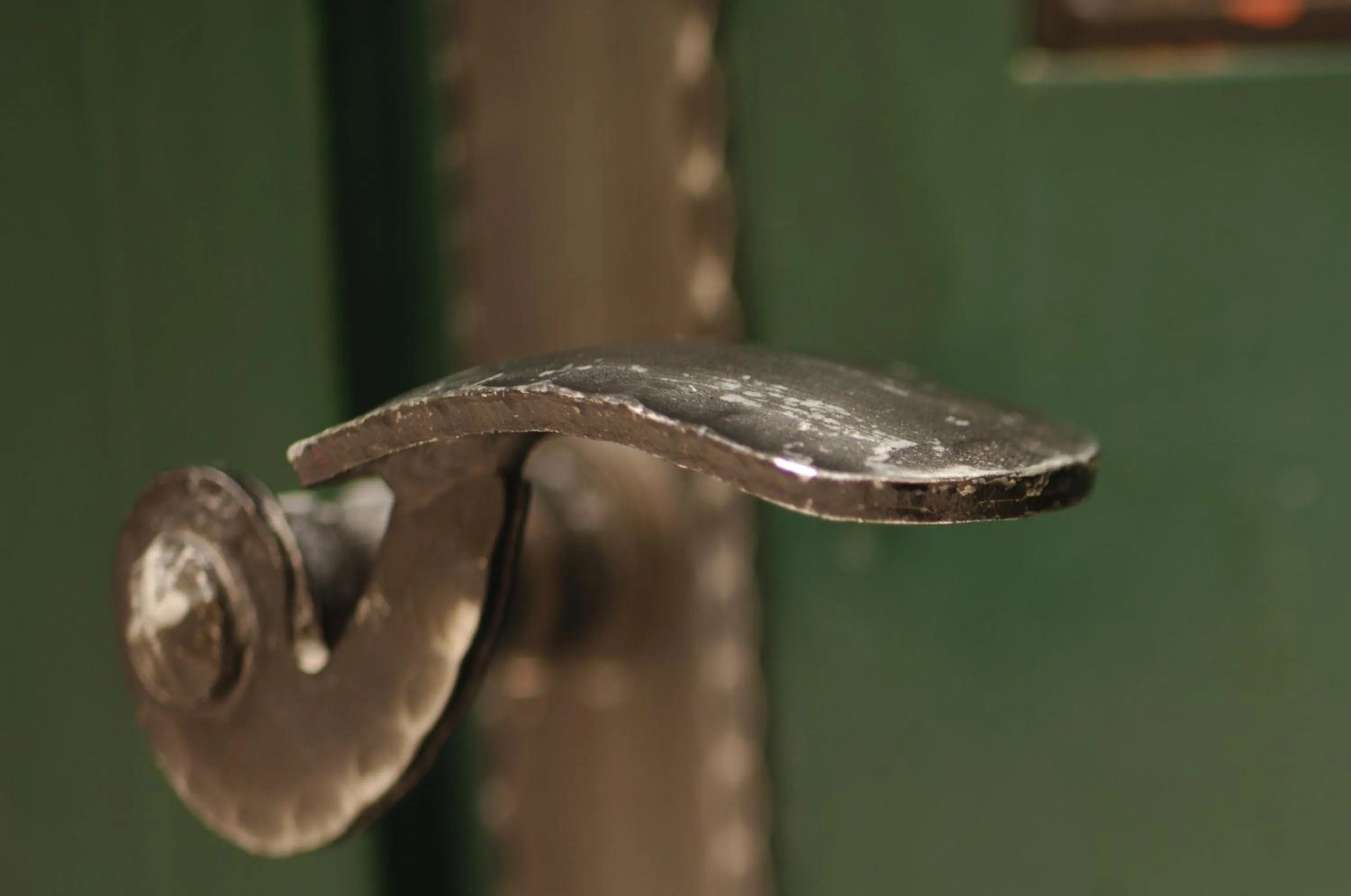 Decorative detail in Villa Sigurata