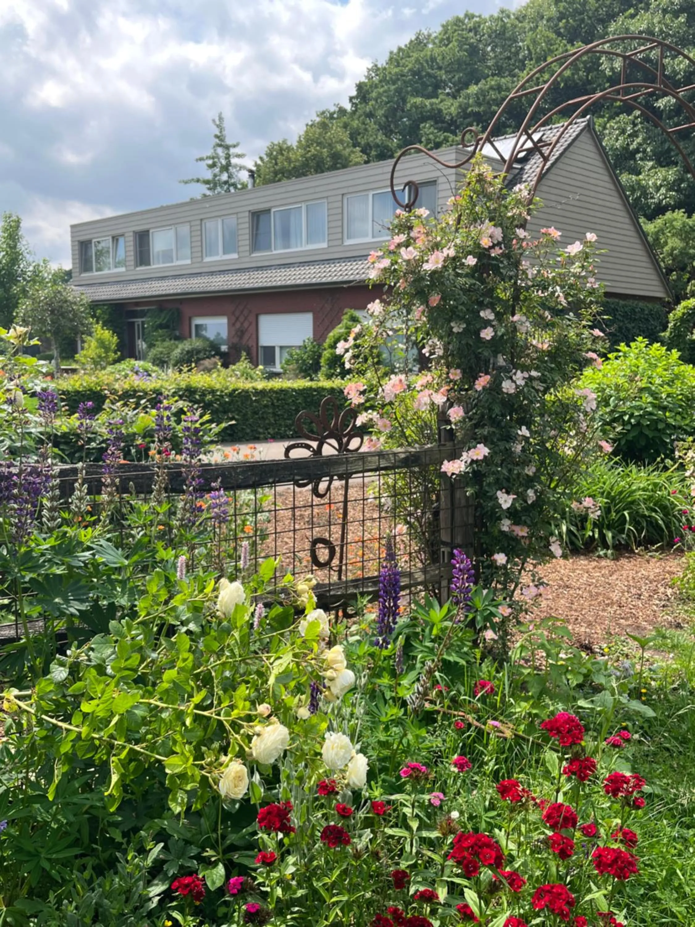 LOGIES Tuin der Zinnen