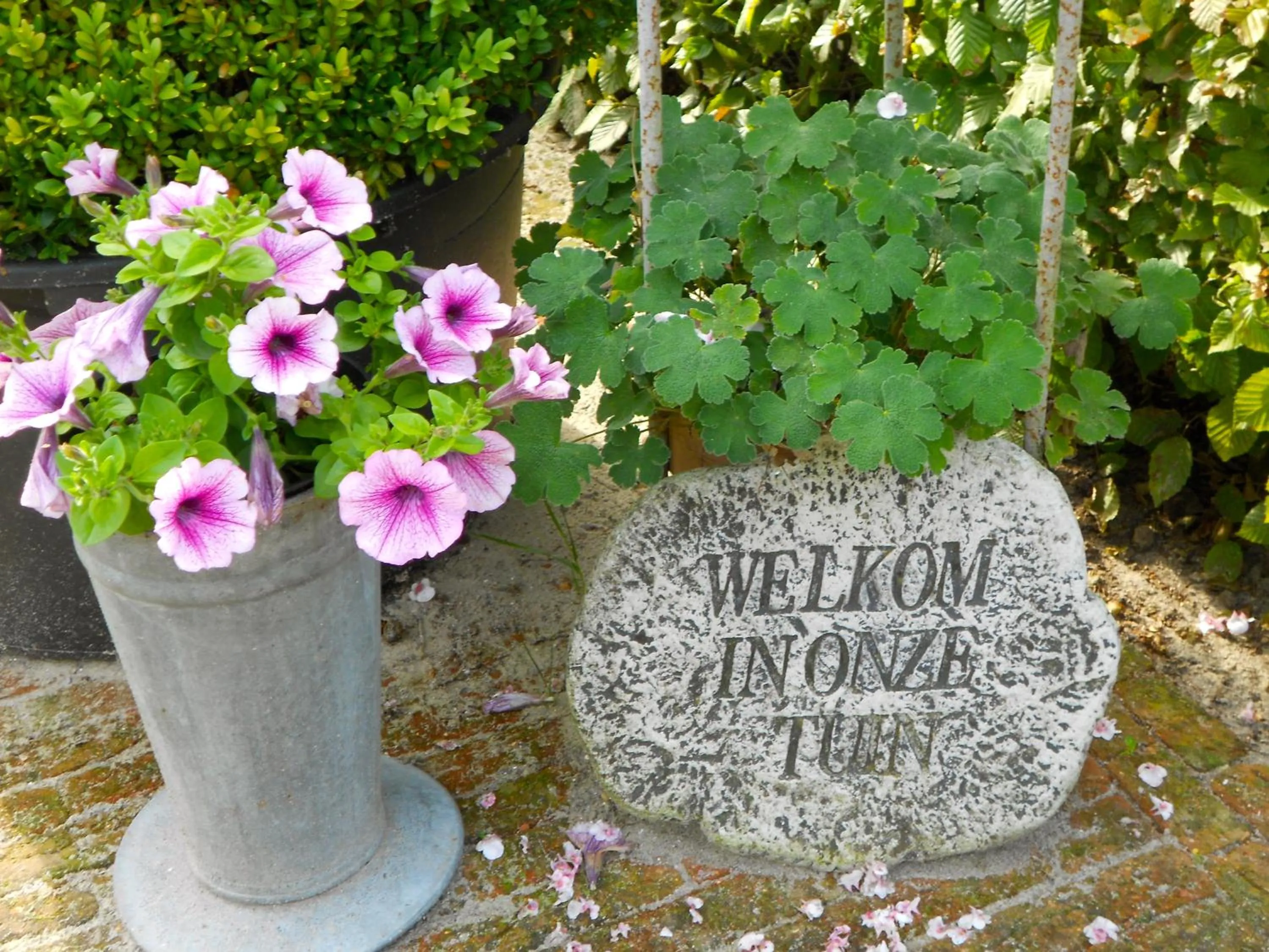 Garden in B&B Tuin der Zinnen