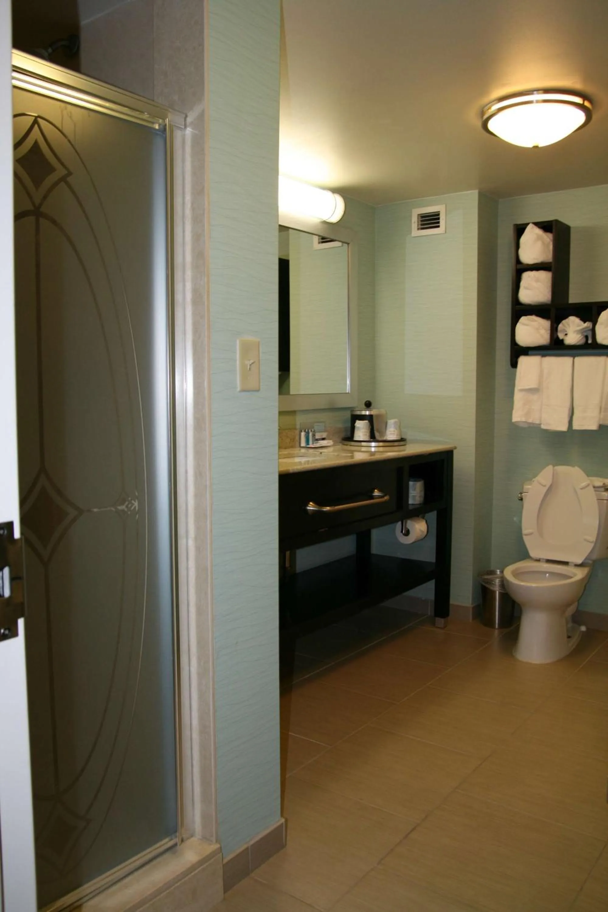 Bathroom in Hampton Inn Shreveport-Airport