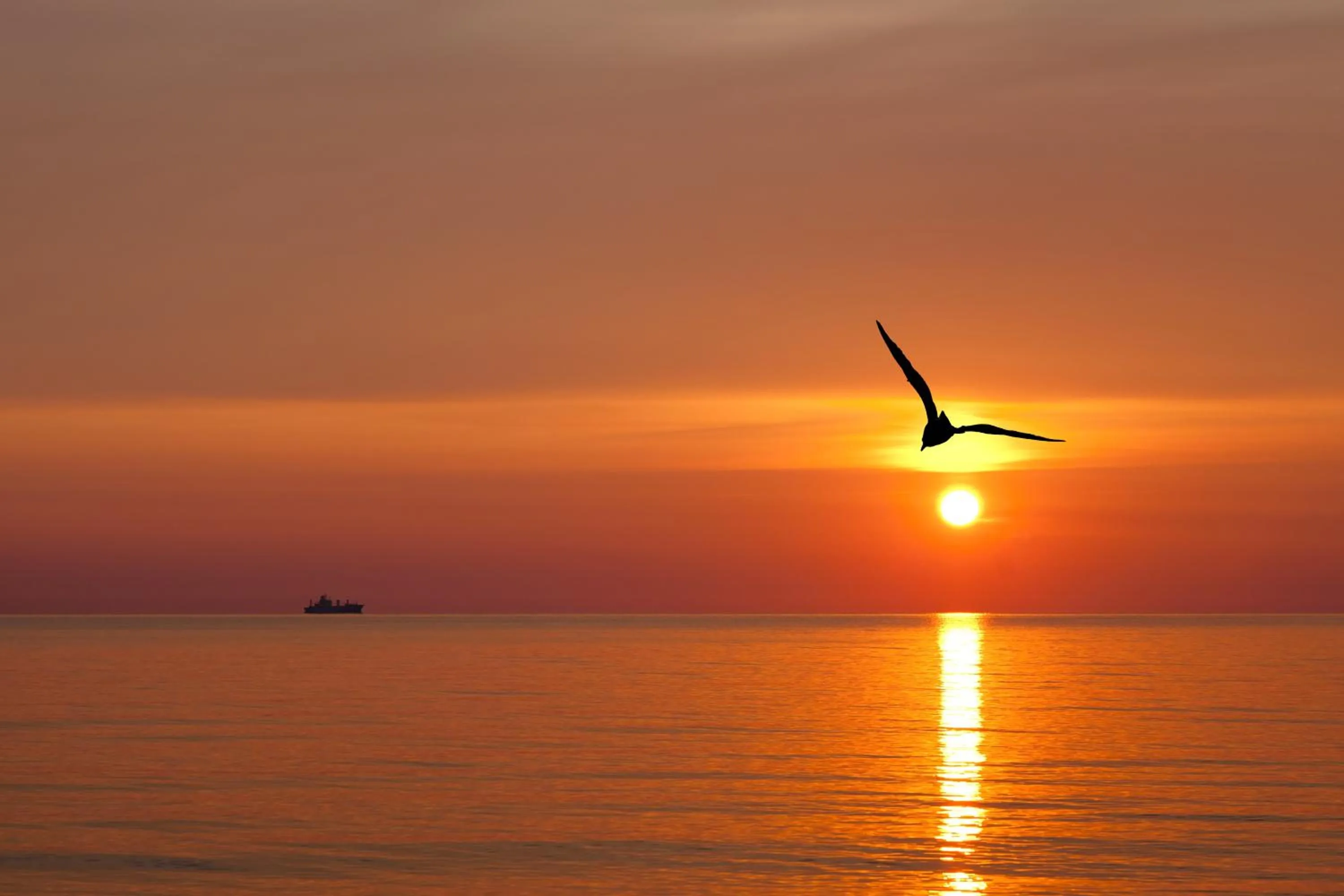 Area and facilities in Inselhotel Poel