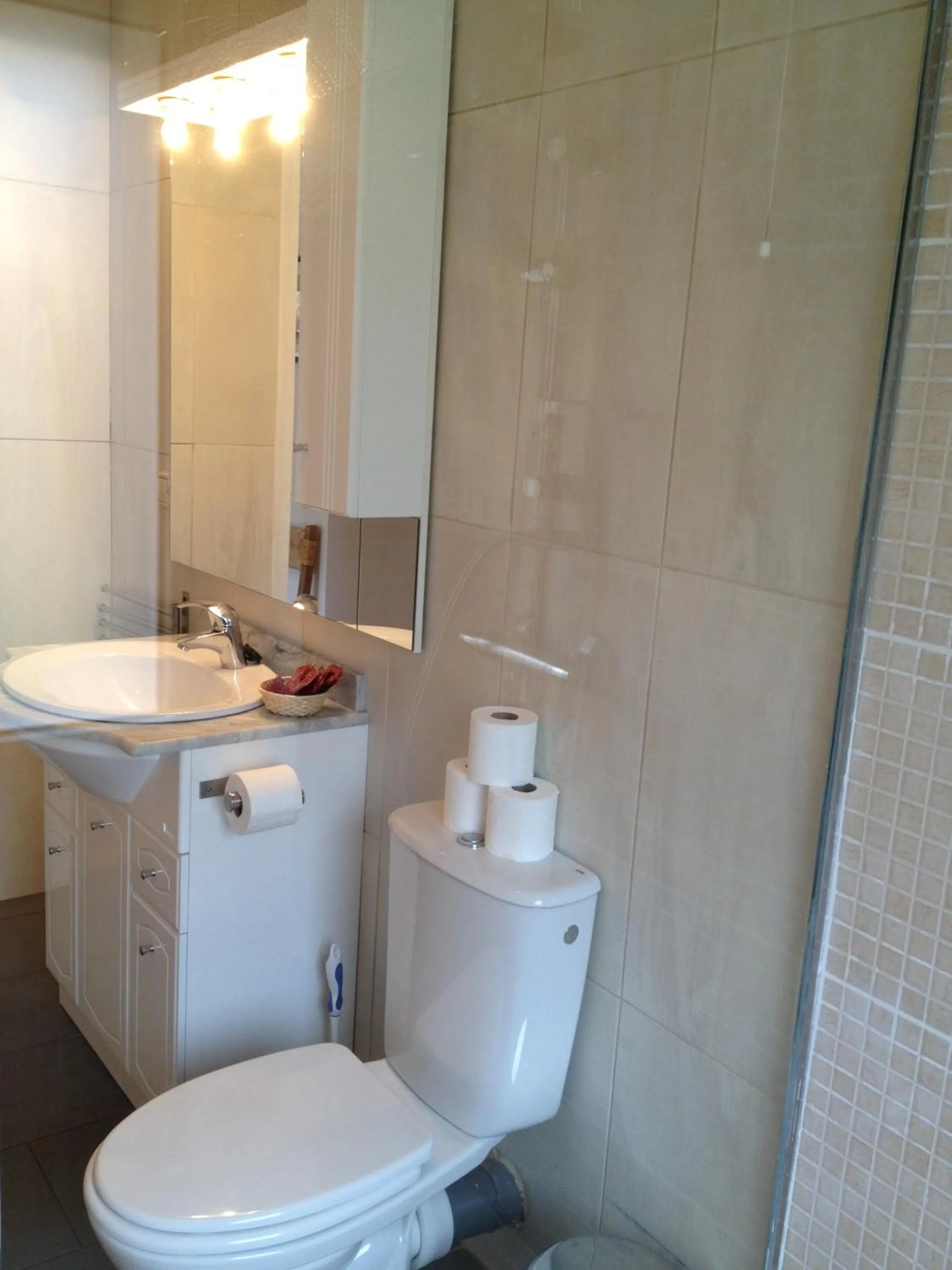 Bathroom in Hotel Roc de St Miquel & Apartment