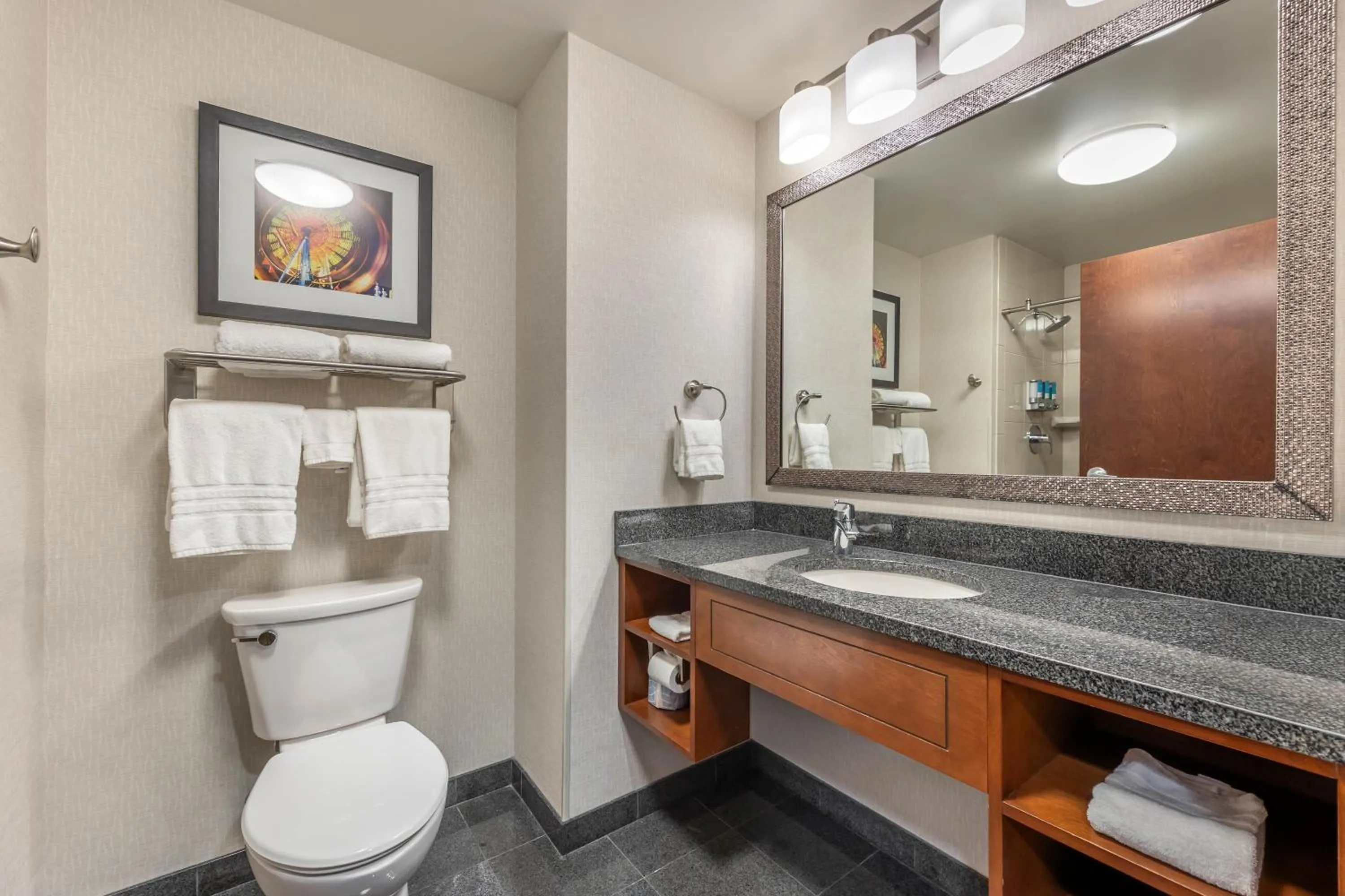 Bathroom in Drury Plaza Hotel Columbia East