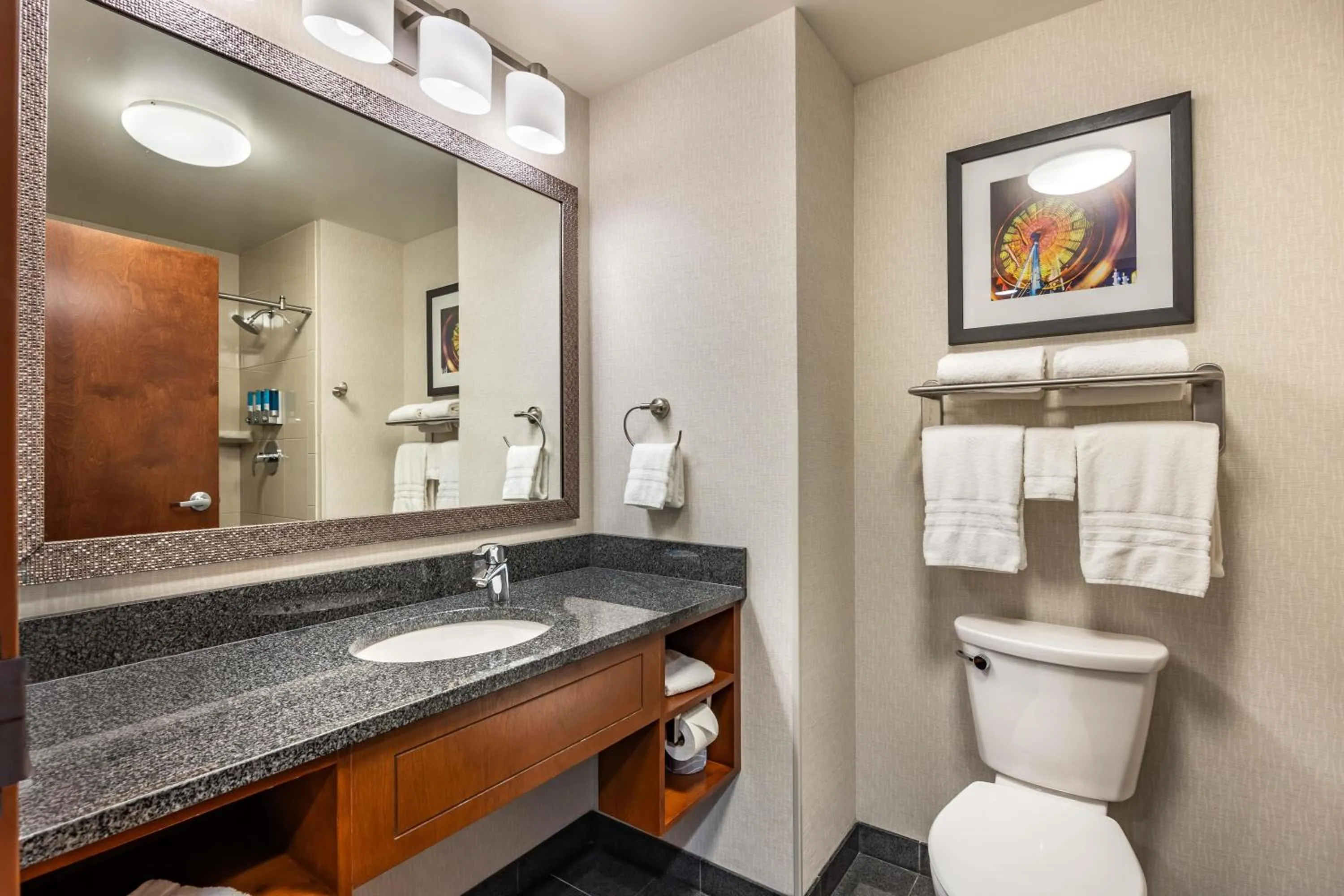 Bathroom in Drury Plaza Hotel Columbia East