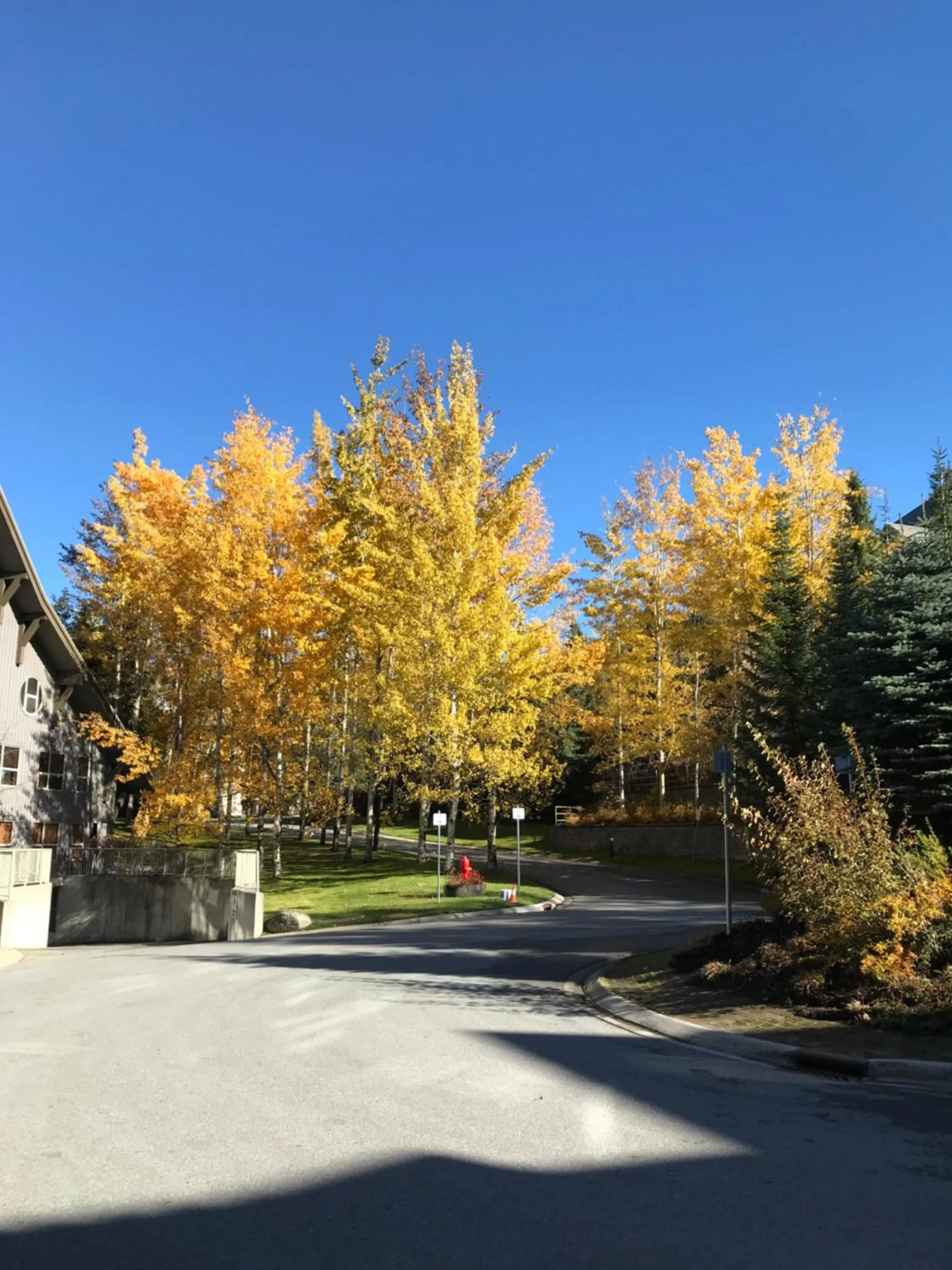 The Best Top Floor Ski-in/Ski-out at the Aspens