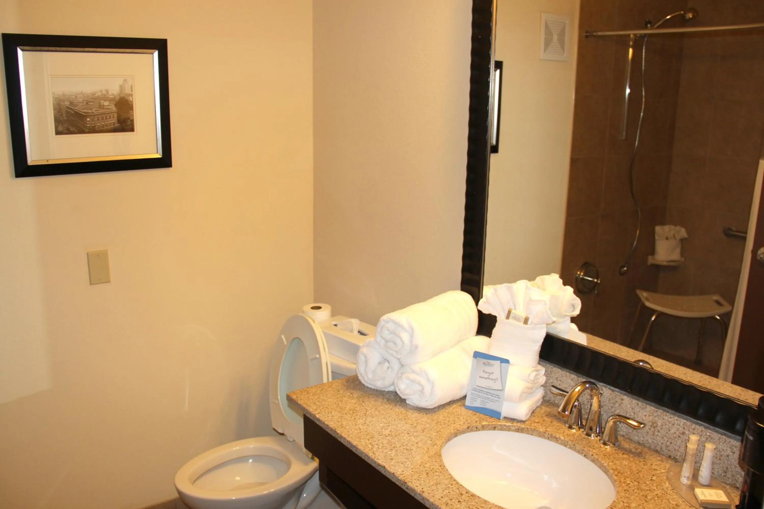 Bathroom in Baymont by Wyndham Augusta West