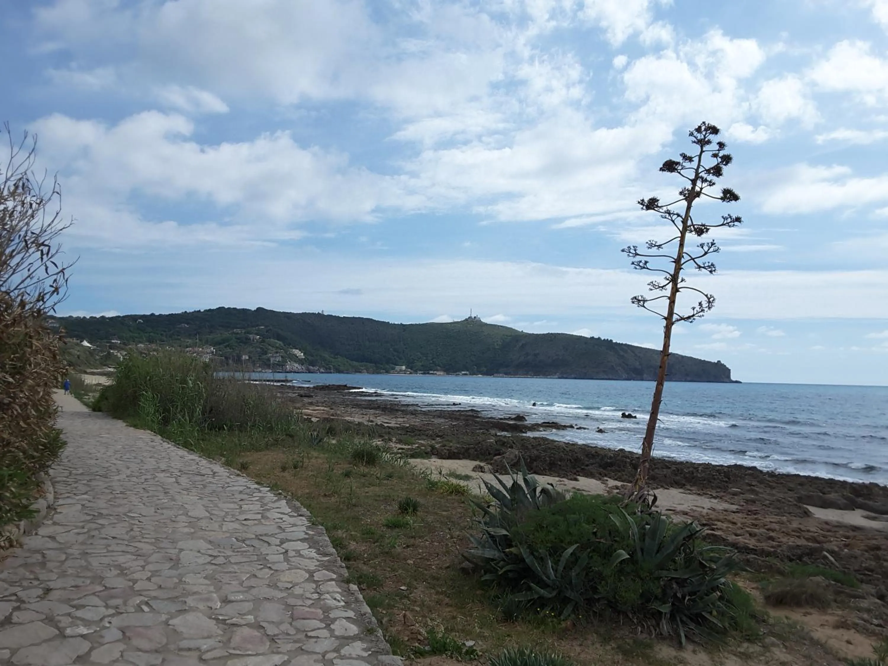Natural landscape in mansarda fiorita