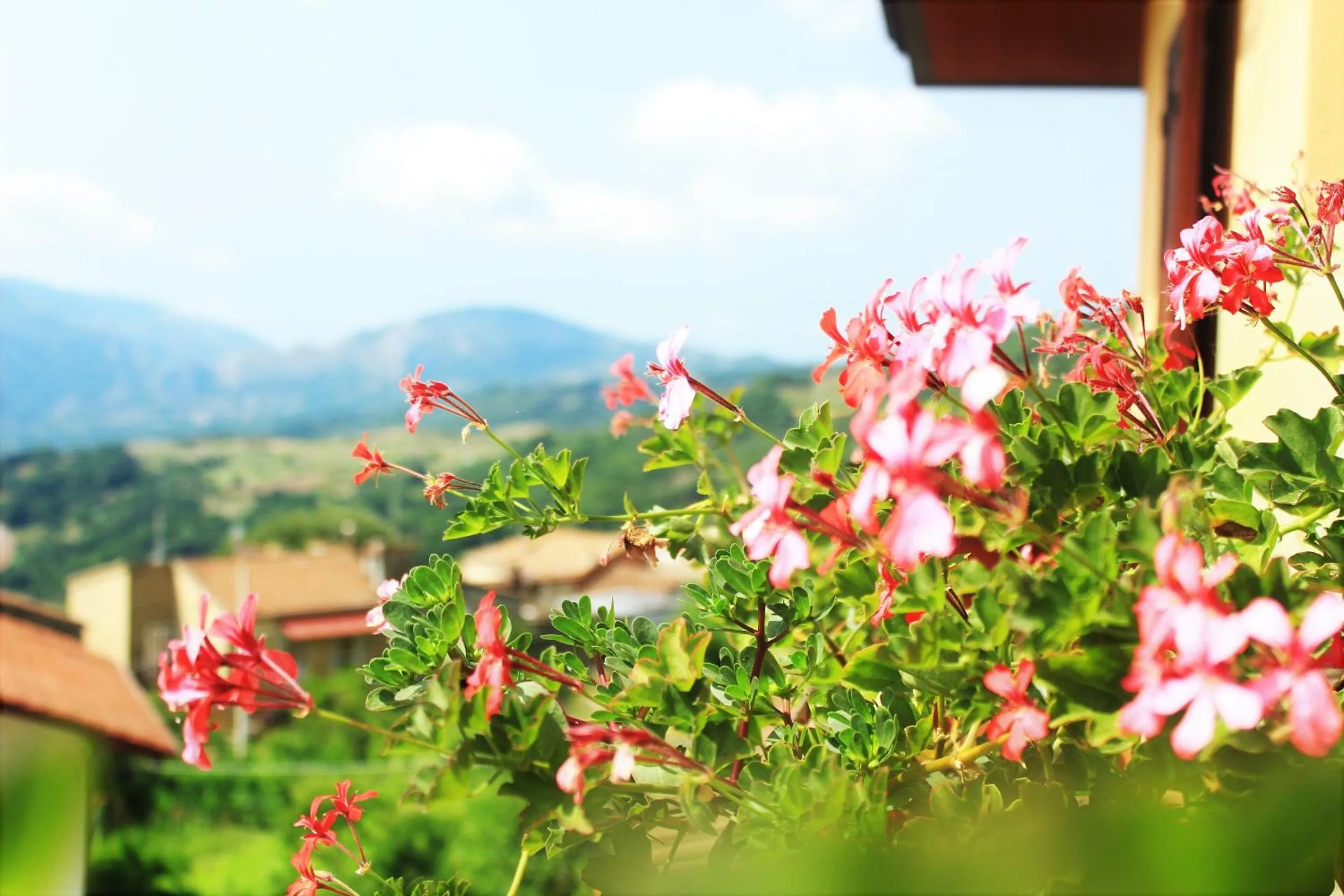Decorative detail in mansarda fiorita