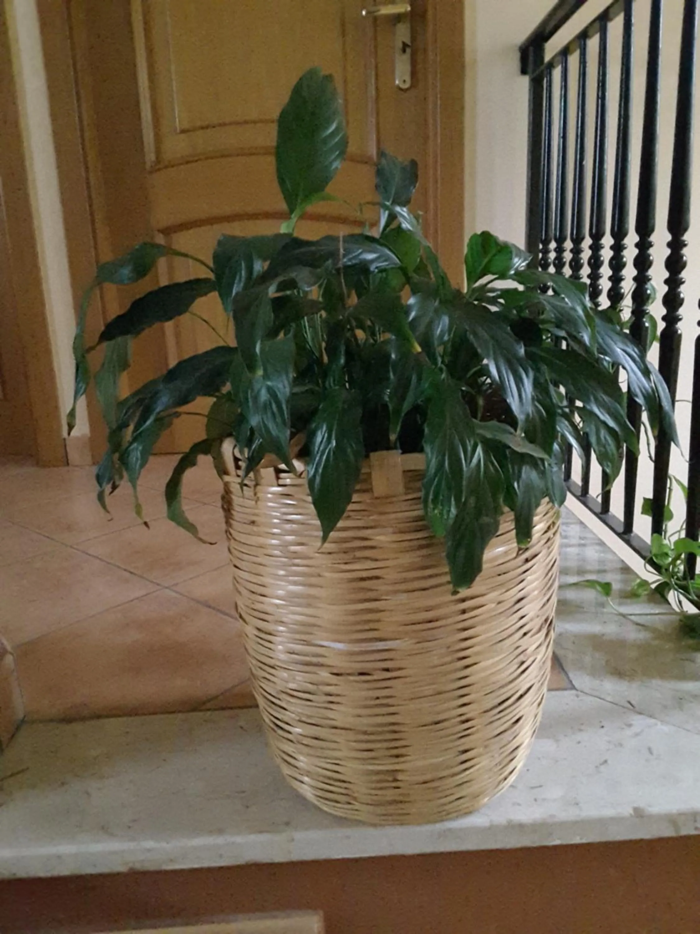 Decorative detail in mansarda fiorita