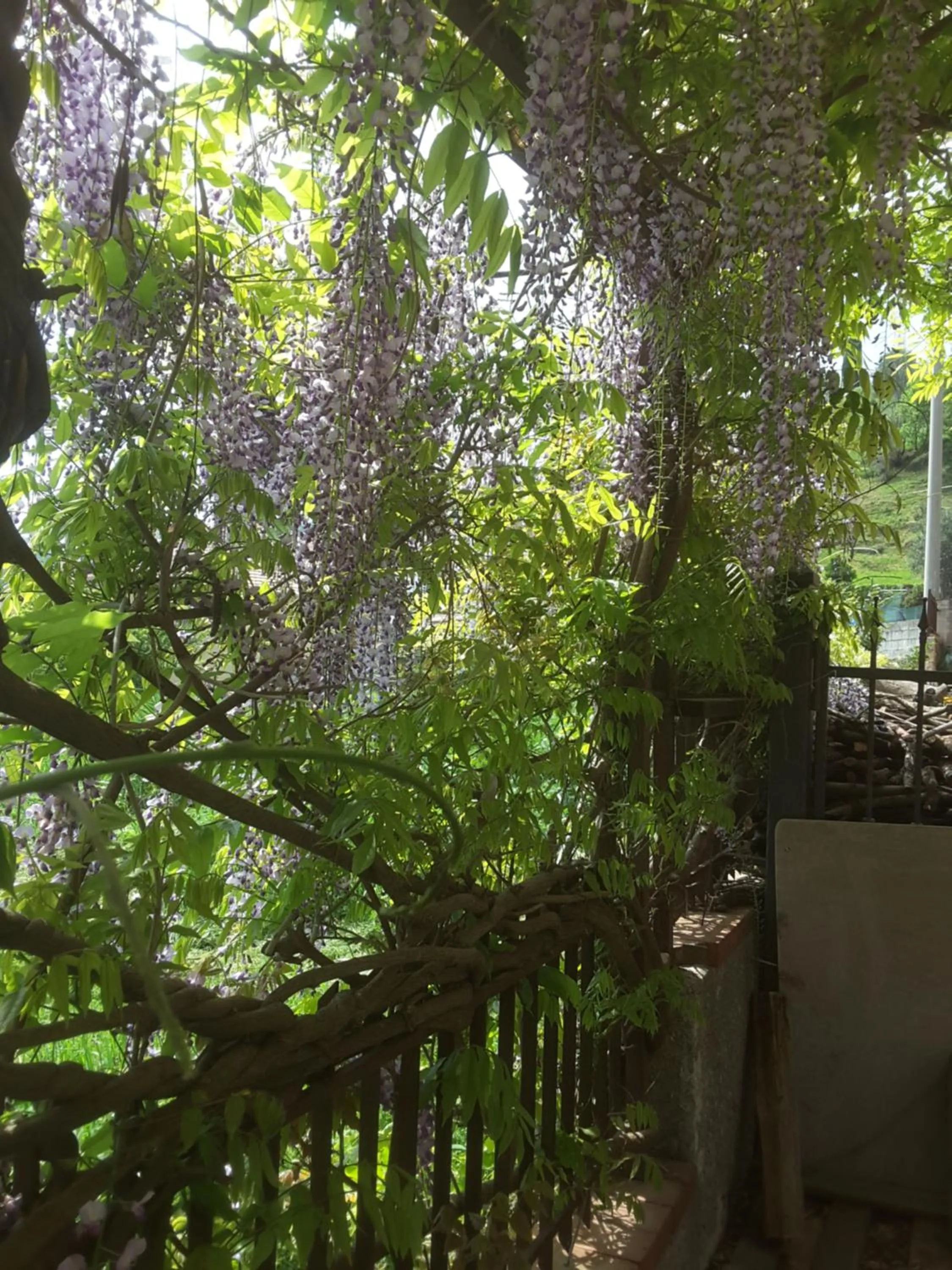Garden in mansarda fiorita