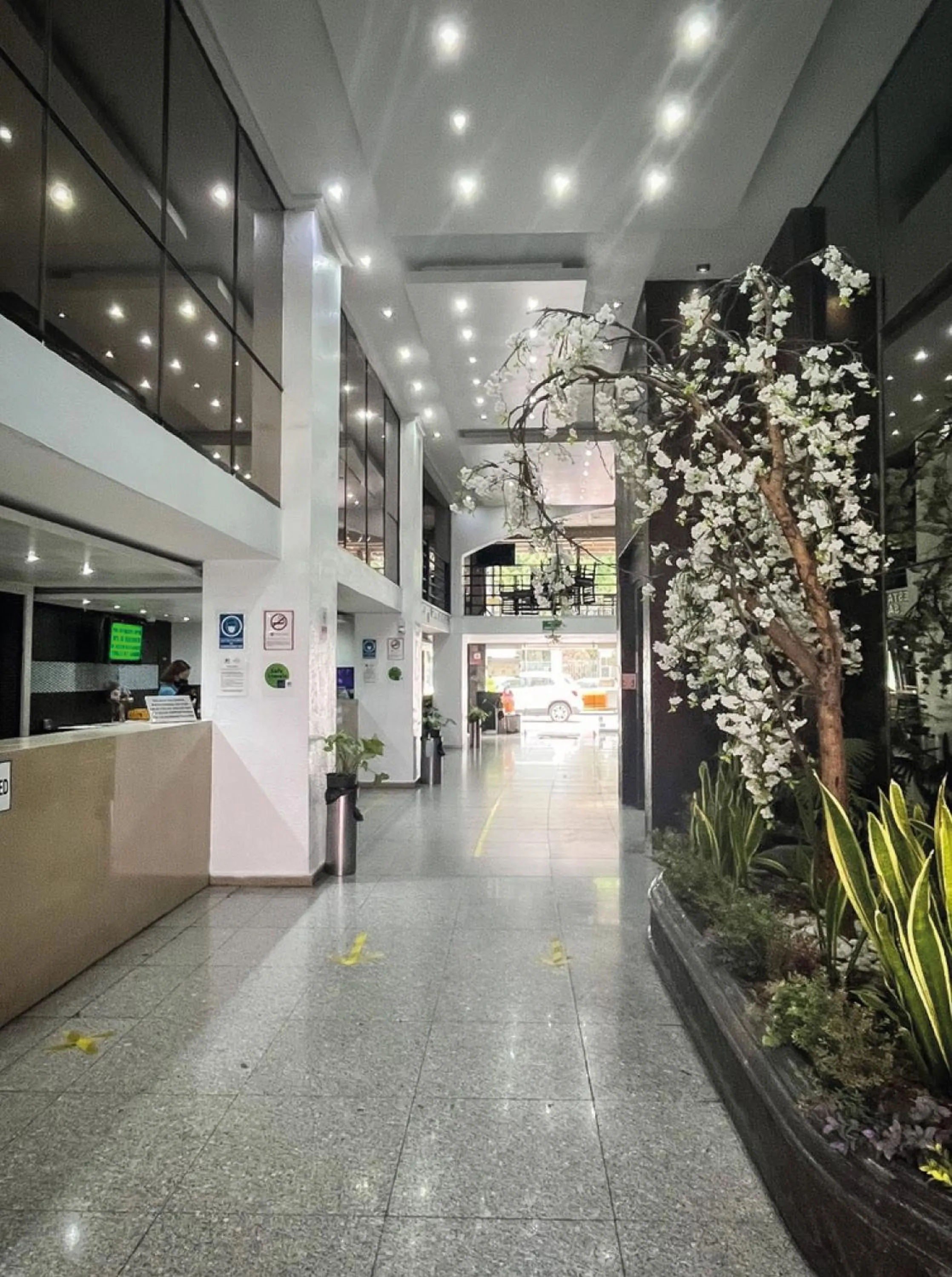 Lobby or reception in Hi Hotel Impala Queretaro
