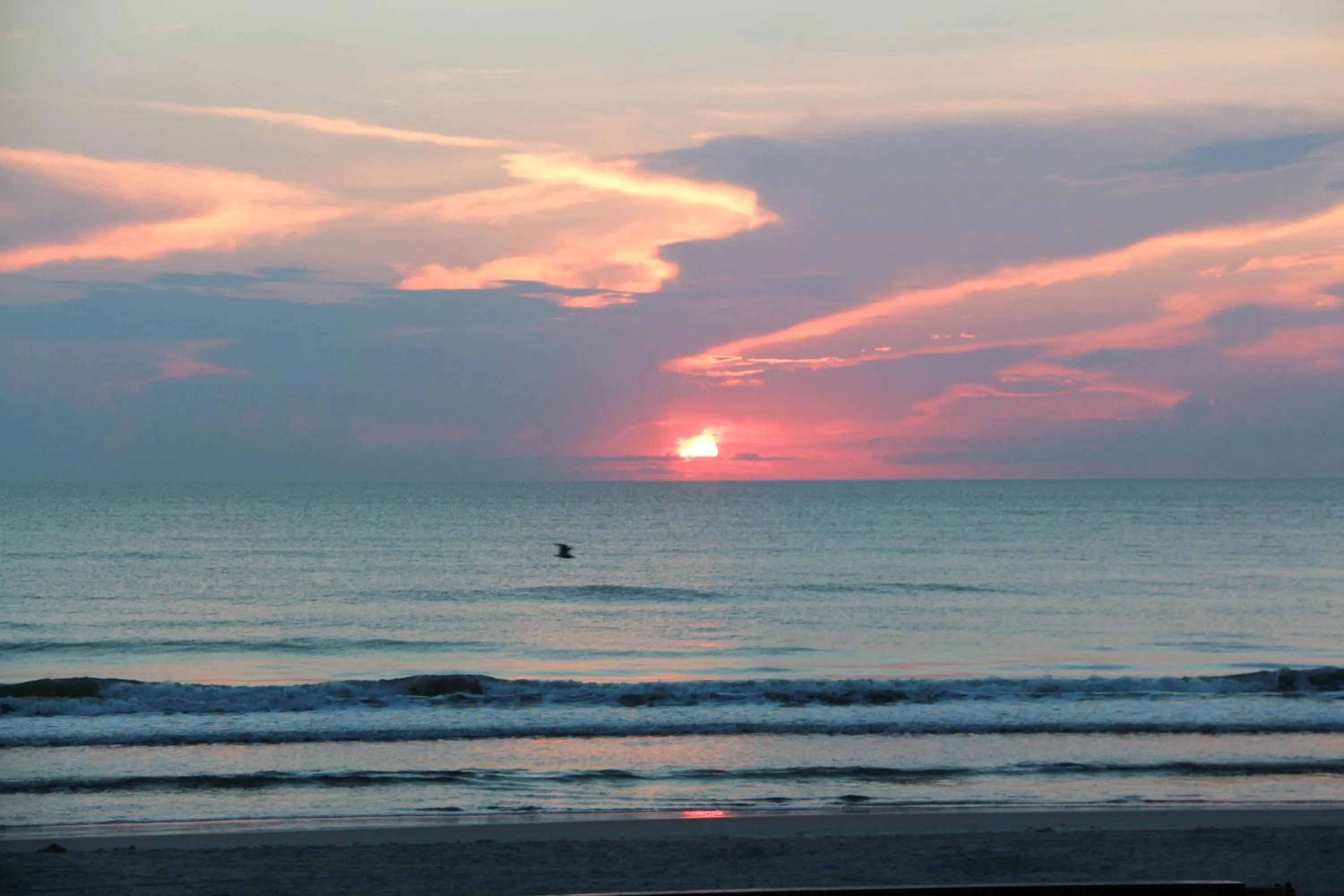 Beach in Tropic Sun Towers