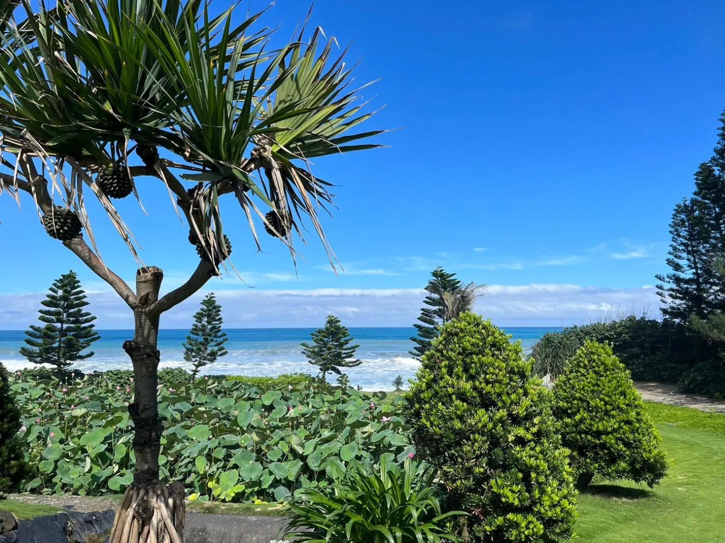 Property building in Hai Yue Homestay