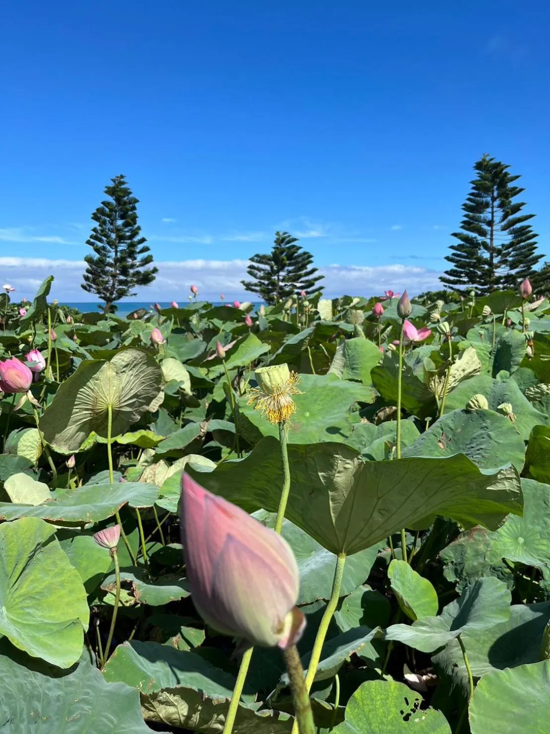 Property building in Hai Yue Homestay